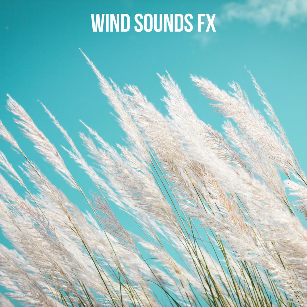 Wind Sounds FX