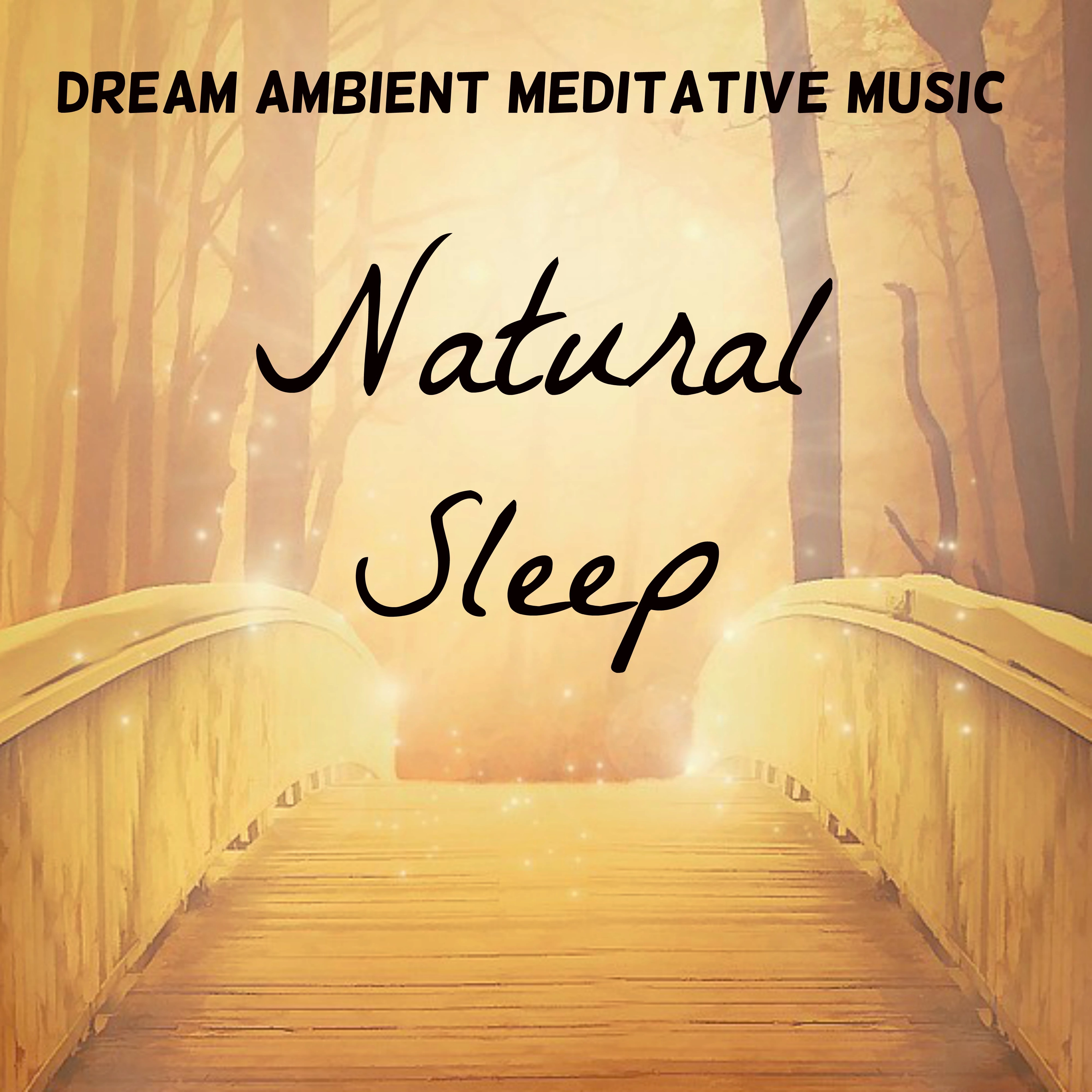 Natural Sleep - Dream Ambient Meditative Music for Healing Therapy Therapeutic Breaks Yoga Exercises with Relaxing Instrumental New Age Nature Sounds