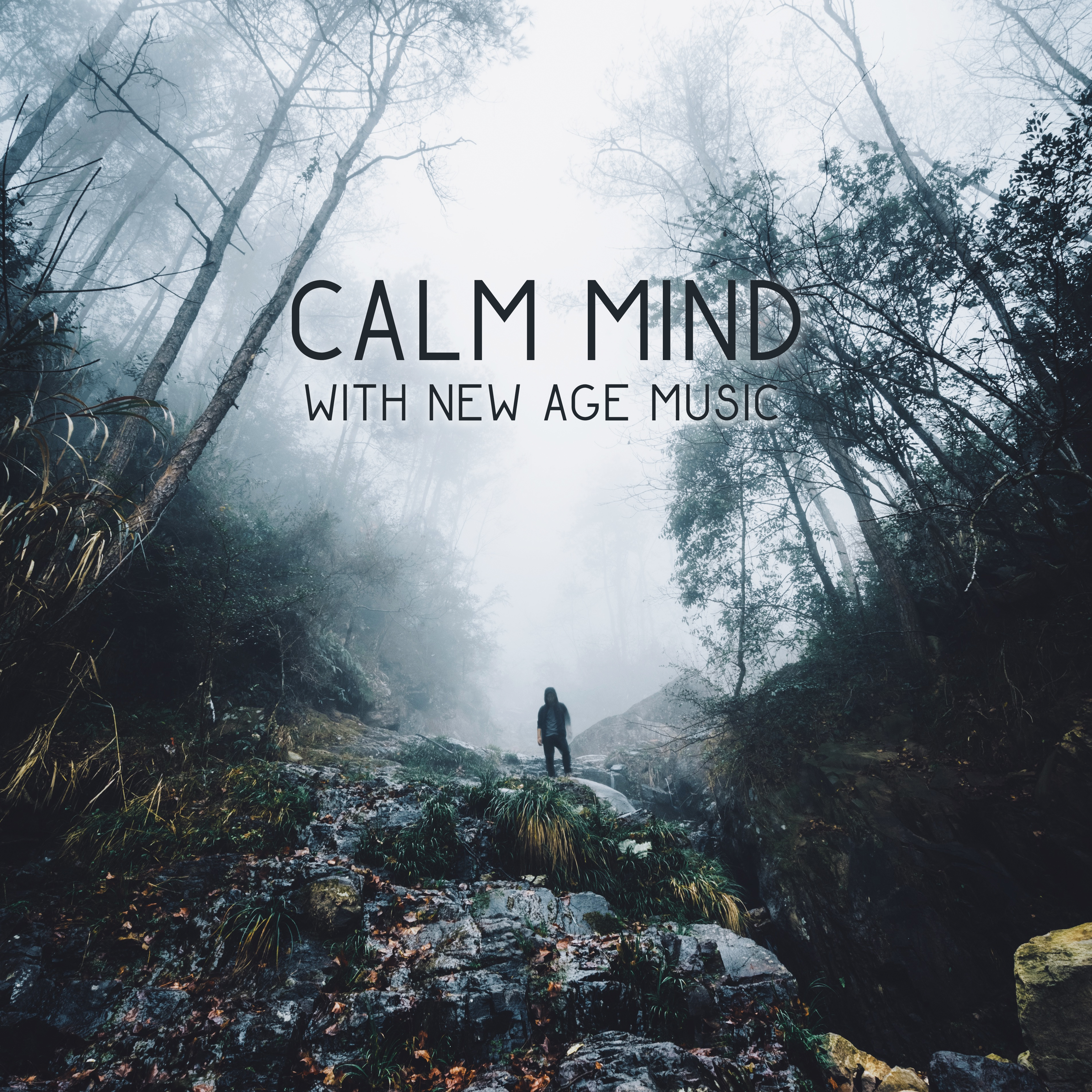 Calm Mind with New Age Music – Soothing Waves, Relaxing New Age Sounds, Music to Rest, Peaceful Mind, Stress Relief