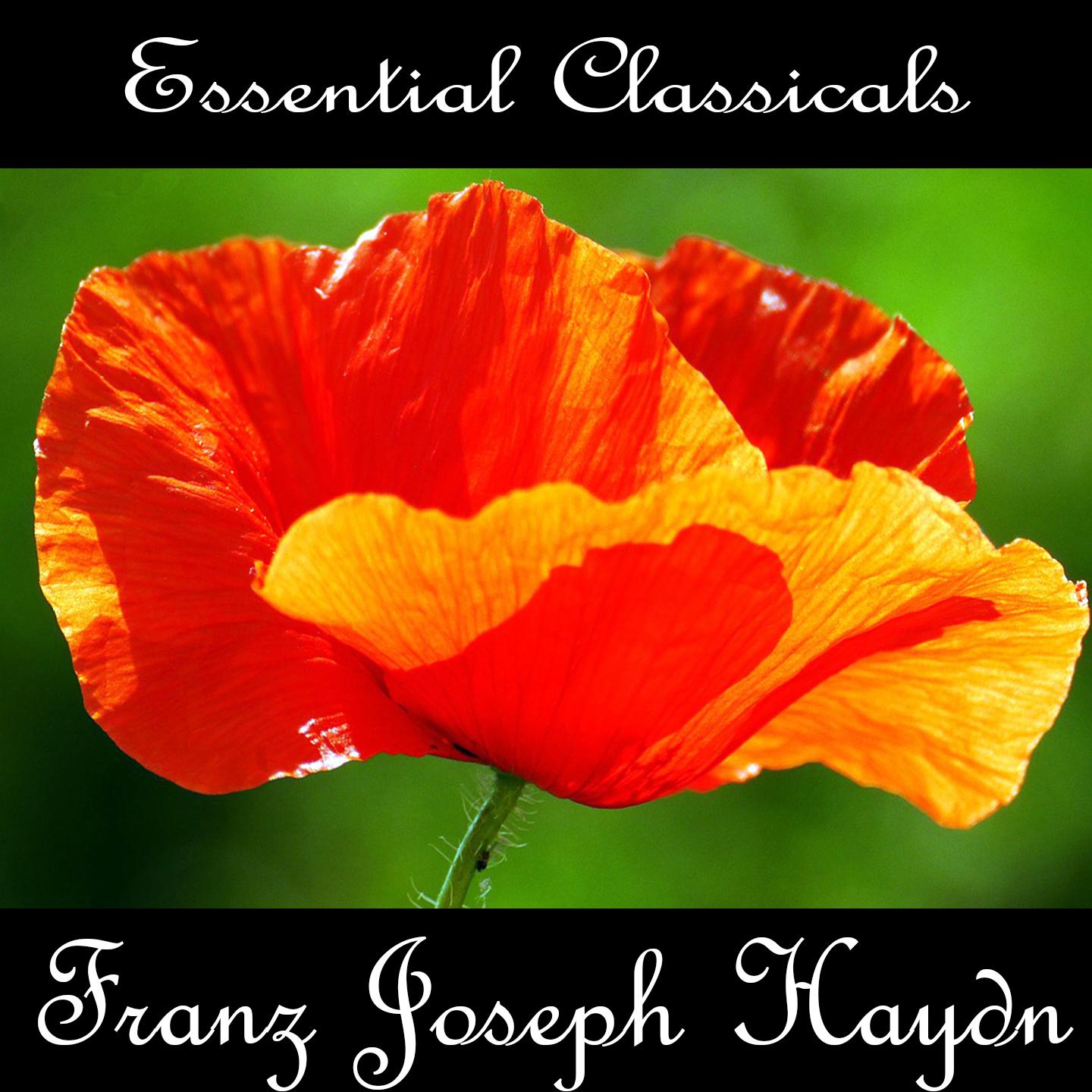 Essential Classics: Franz Joseph Haydn