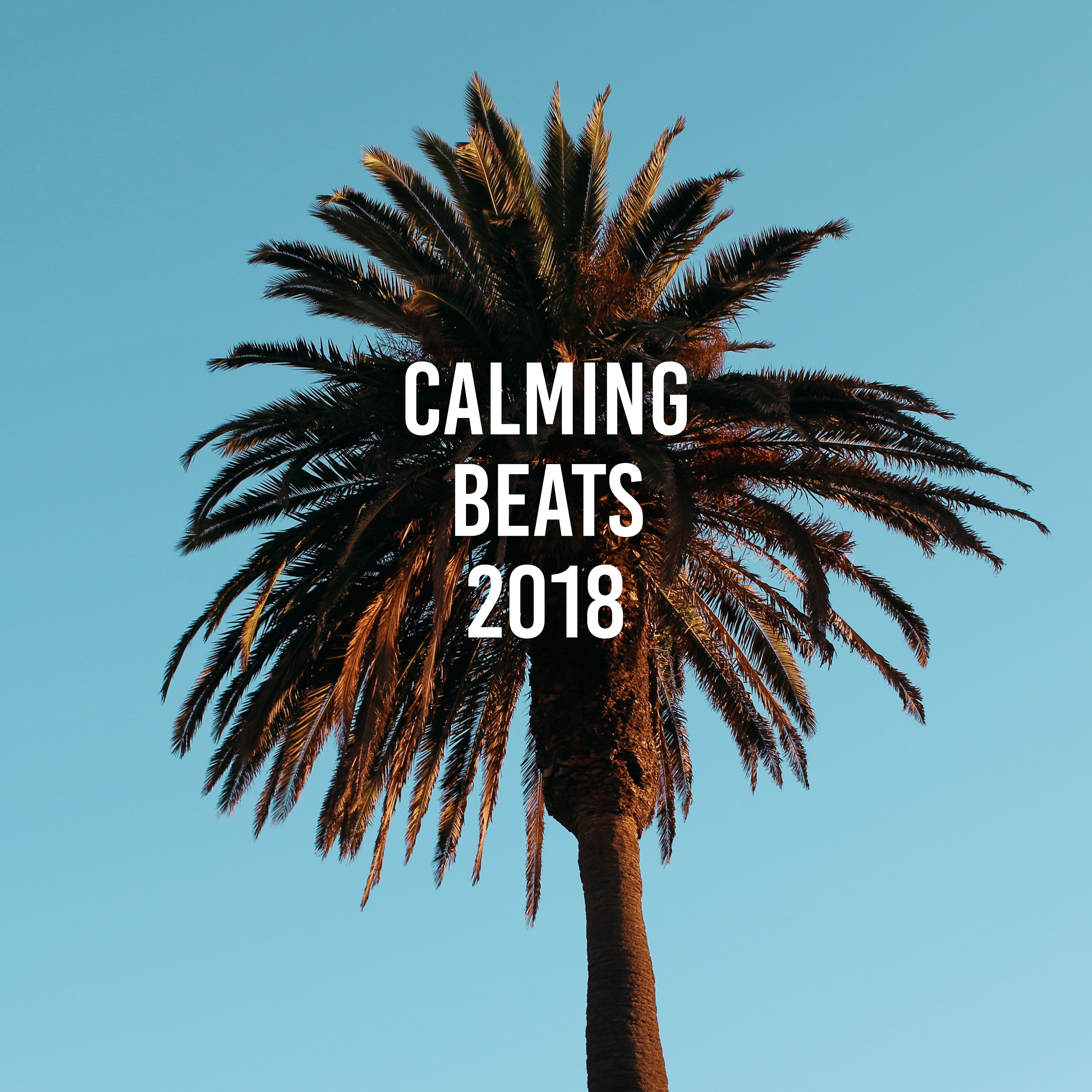 Calming Beats 2018