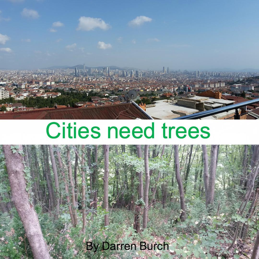 City Needs Trees