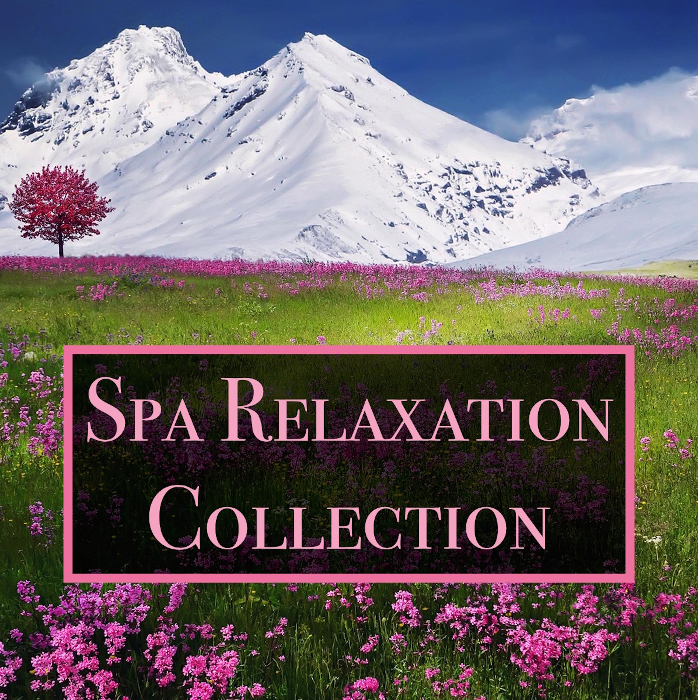 Spa Relaxation Collection - 20 Relaxing Water and Ocean Sounds for Deep Meditation, Massage, Yoga, Focus and Concentration