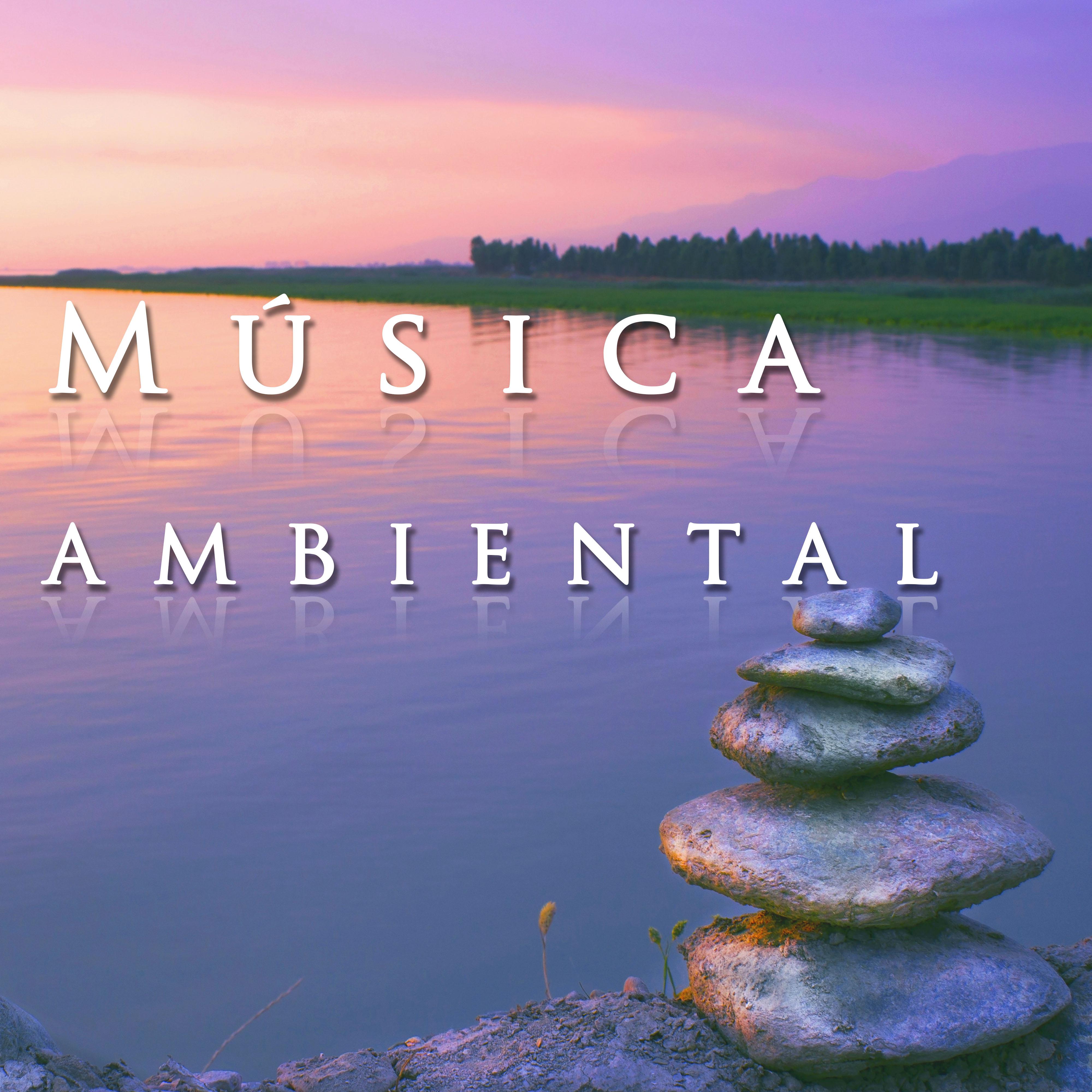 Mùsica Ambiental: Música Instrumental para la Meditación y el Estudio
