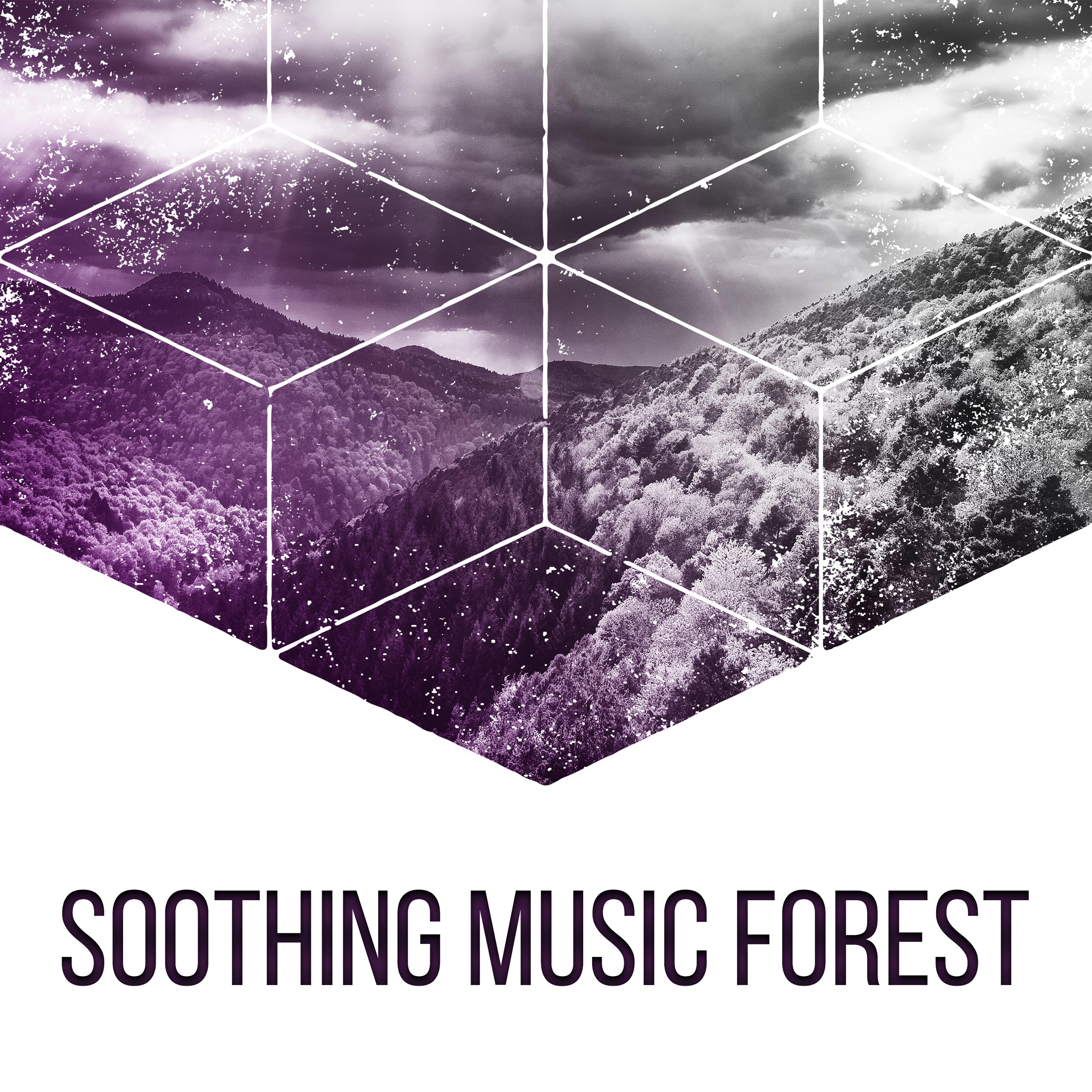 Soothing Music Forest – Nature Sounds for Relaxation, Classical Guitar, Birds Singing, Soft Melodies, Pure Mind, Sounds of Forest, Deep Sleep