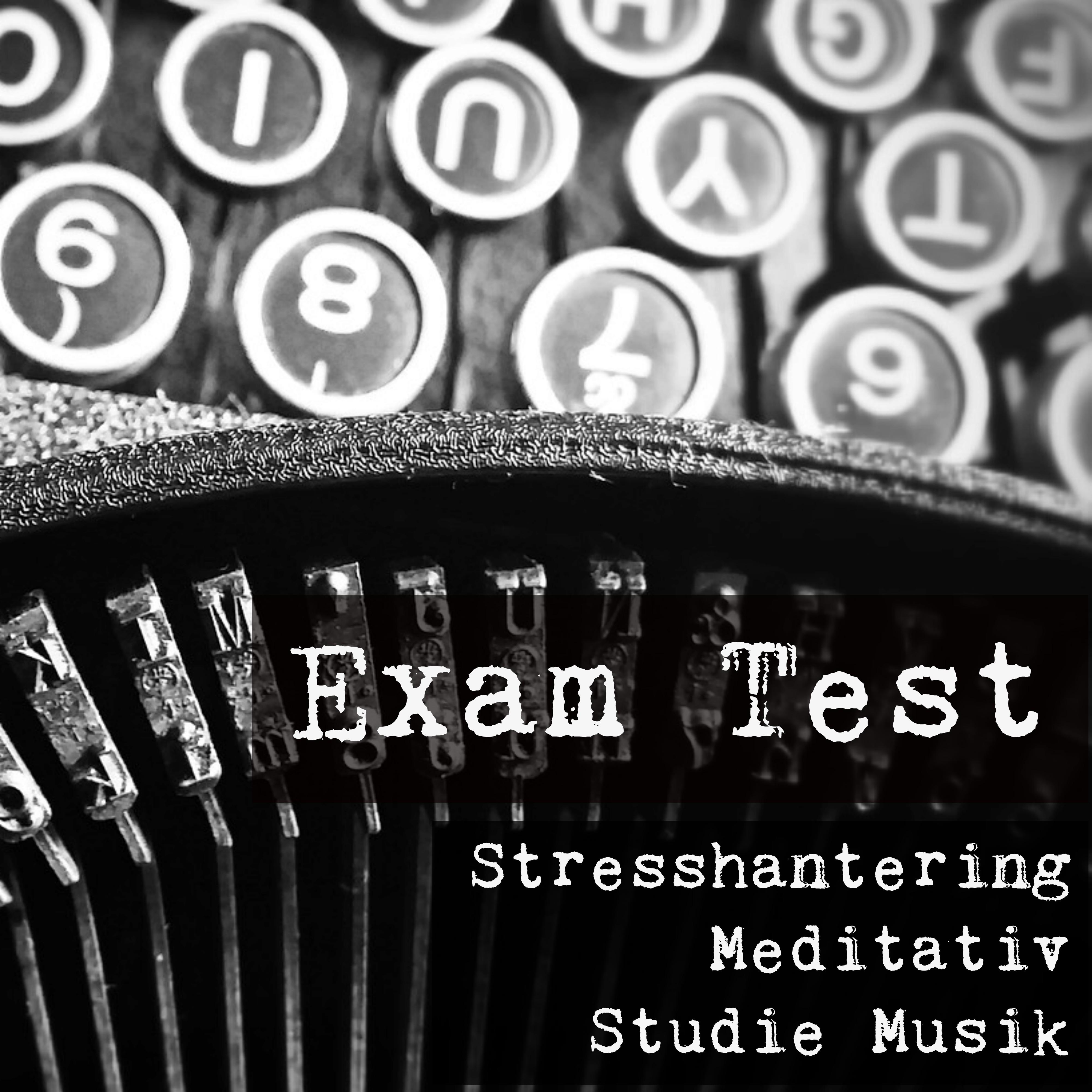 Exam Test - Stresshantering Meditativ Studie Musik för Förbättra Koncentration med Naturens Andlig Healing Instrumental Ljud