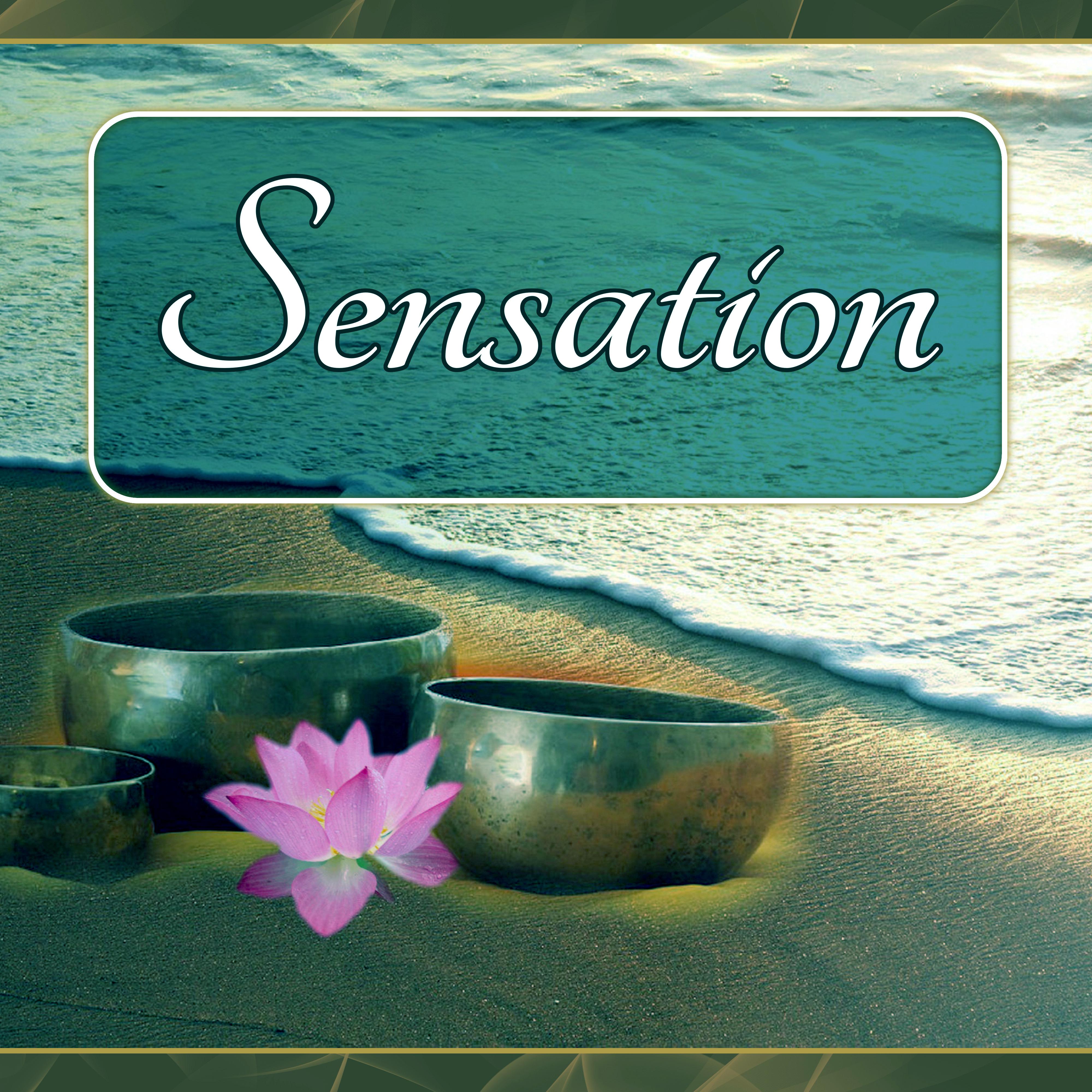 Sensation – Wellness Music Spa, Pure Mind and Body with Healing Massage Music, Harmony of Senses, Therapy Music for Relax, Inner Peace