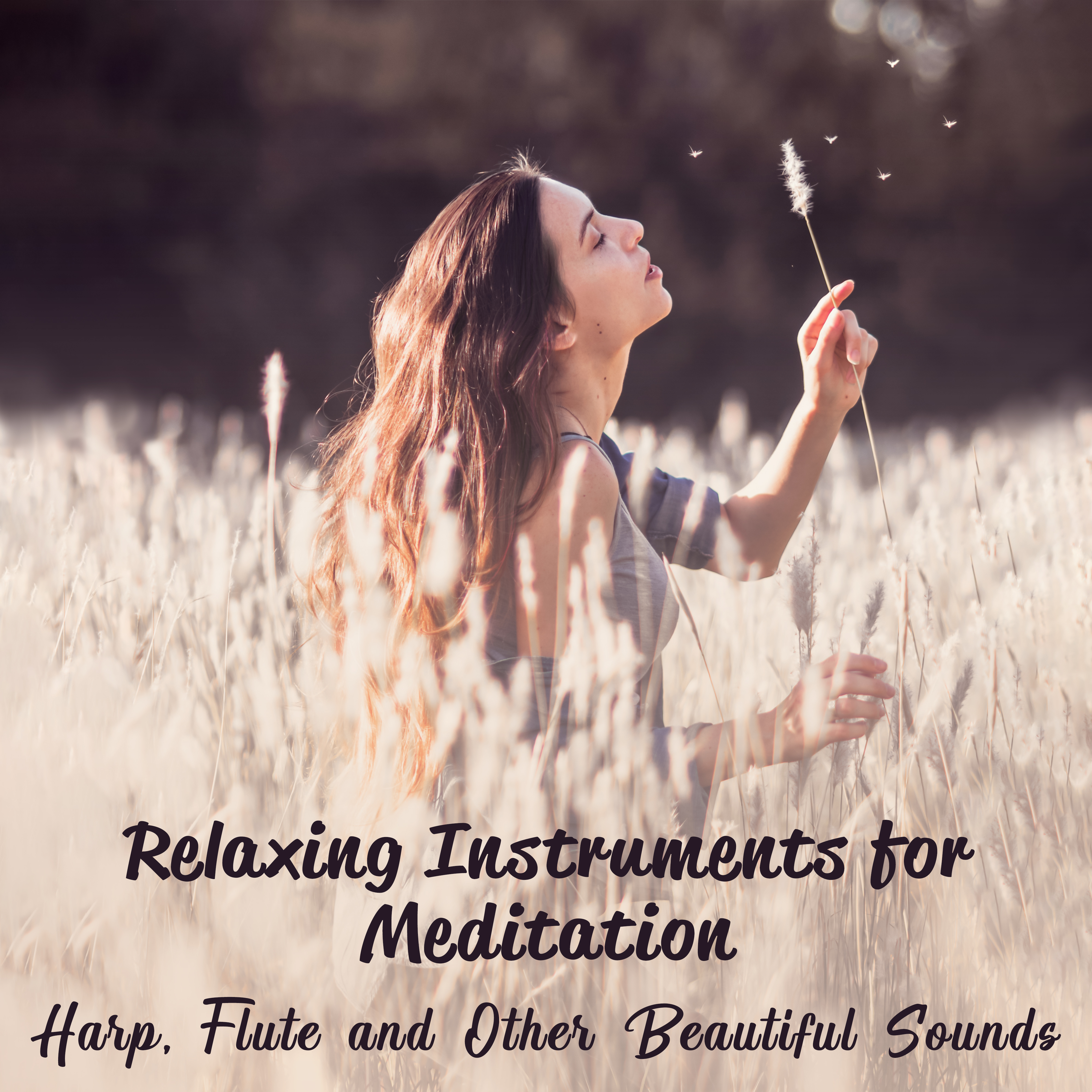 Relaxing Instruments for Meditation: Harp, Flute and Other Beautiful Sounds