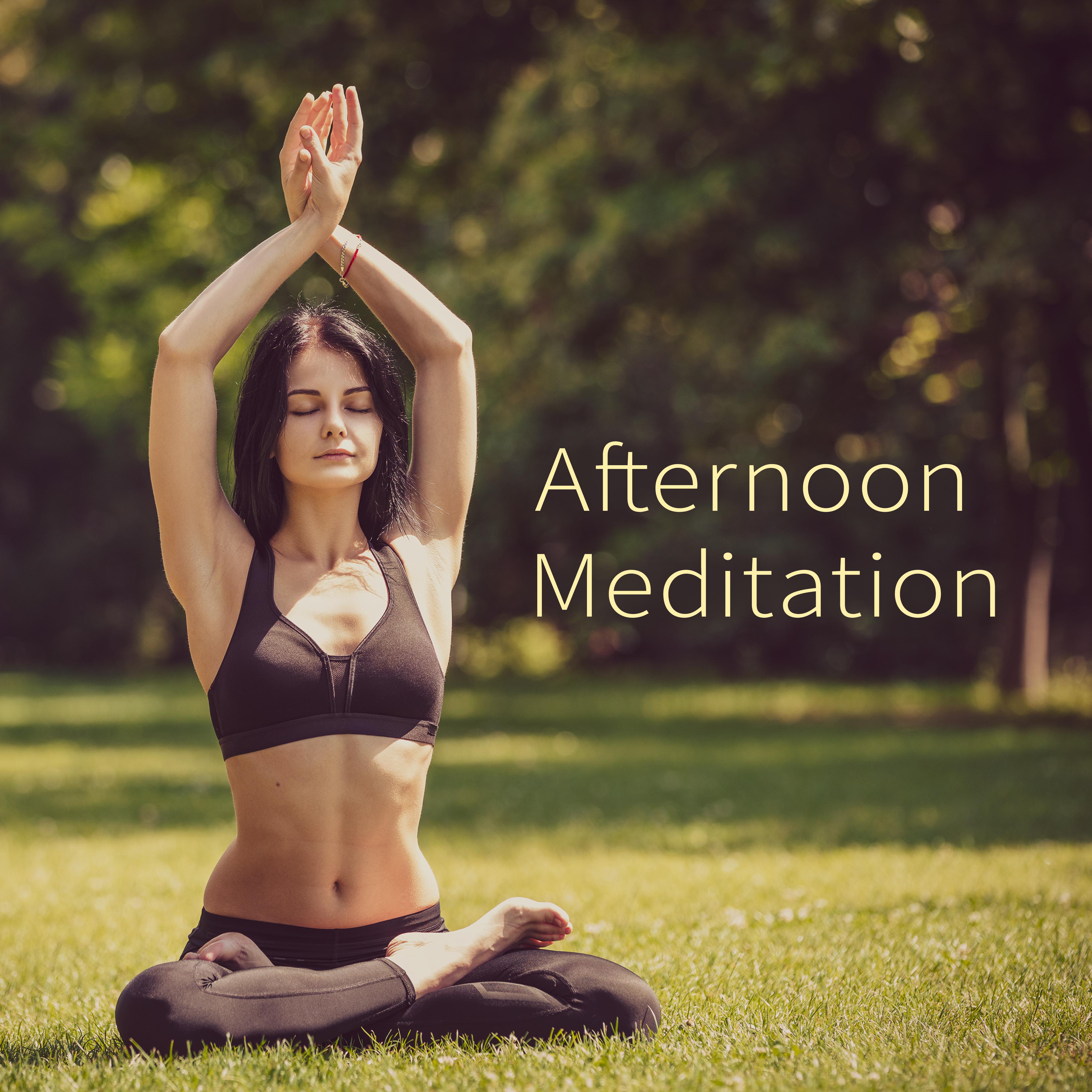 Afternoon Meditation