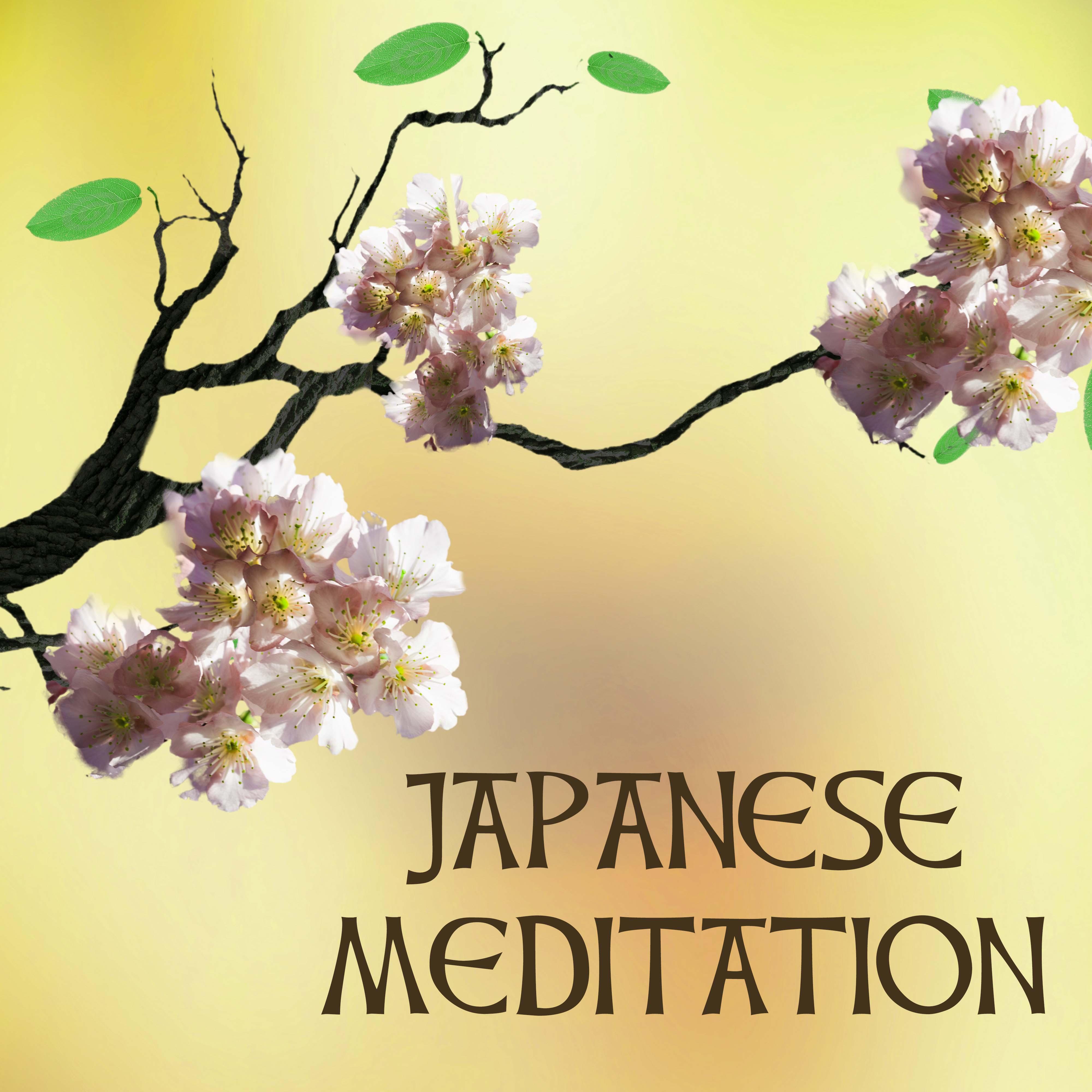 Japanese Meditation & Relaxation Music - Spirituality Song