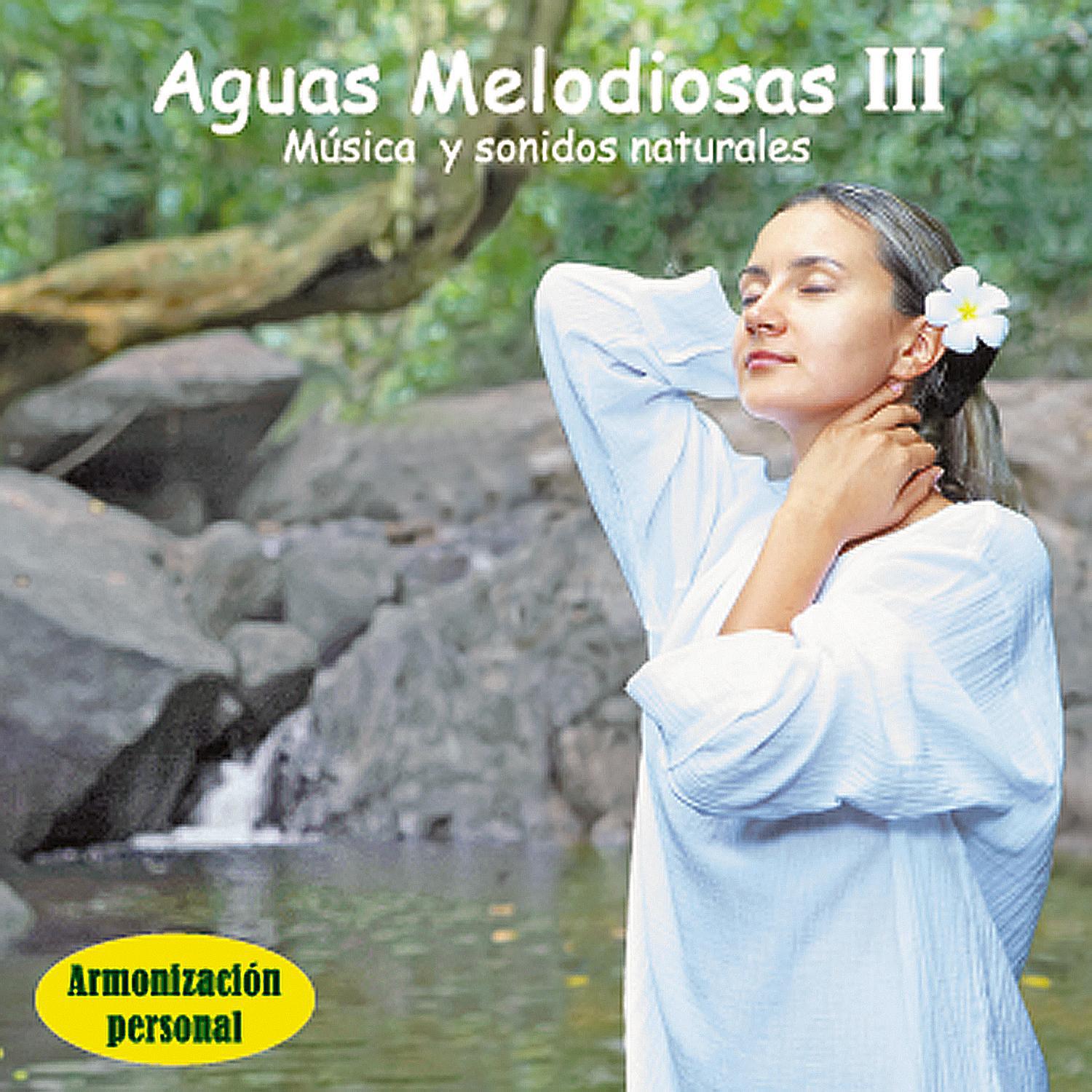 Aguas Melodiosas 3