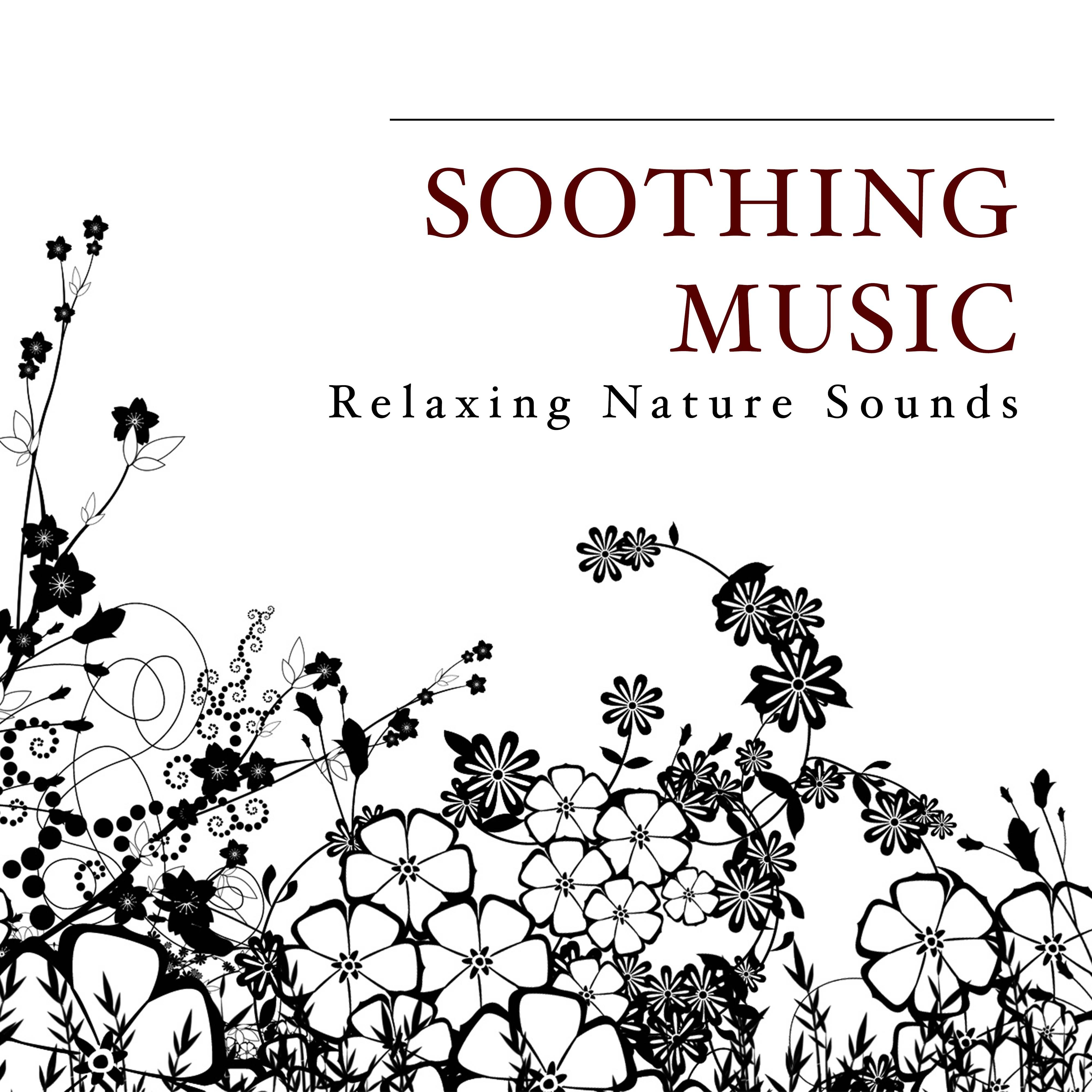 Soothing Music: Relaxing Nature Sounds