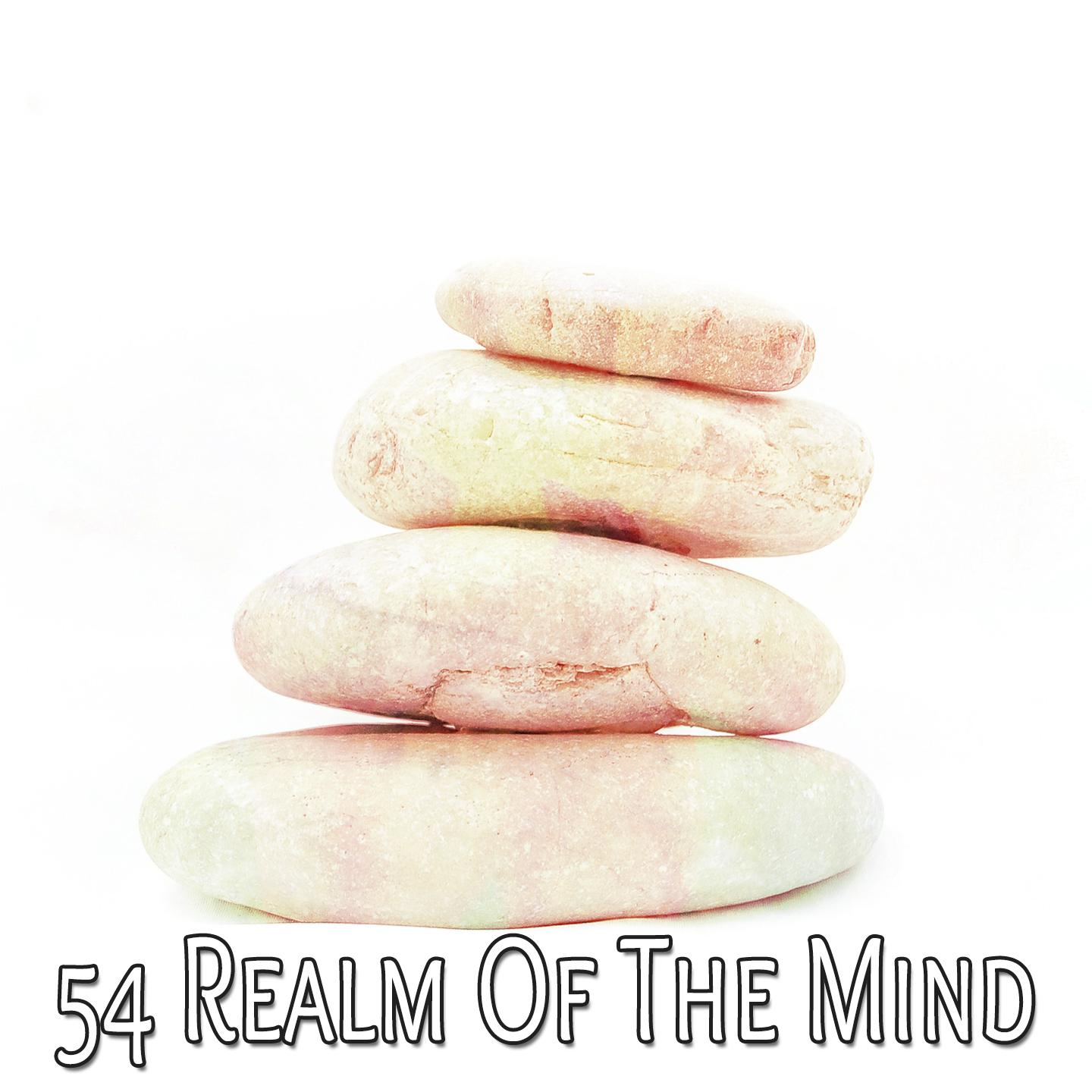 54 Realm Of The Mind