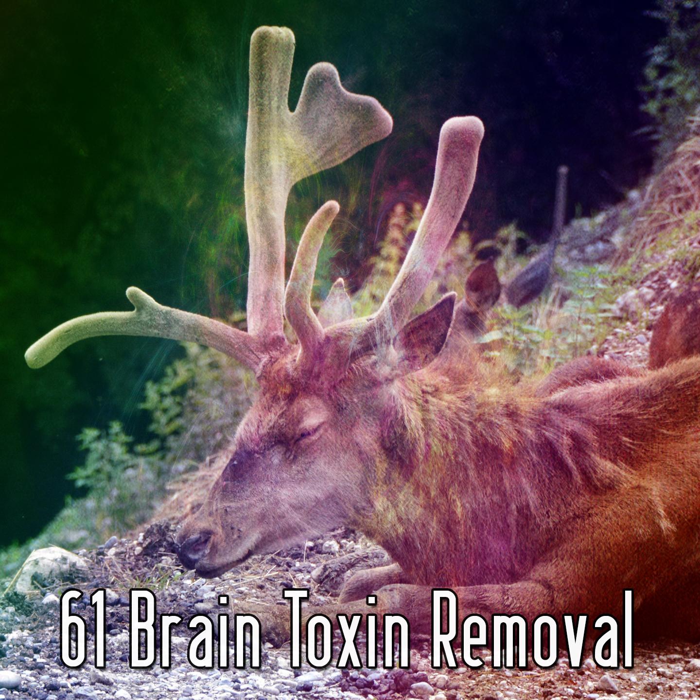61 Brain Toxin Removal