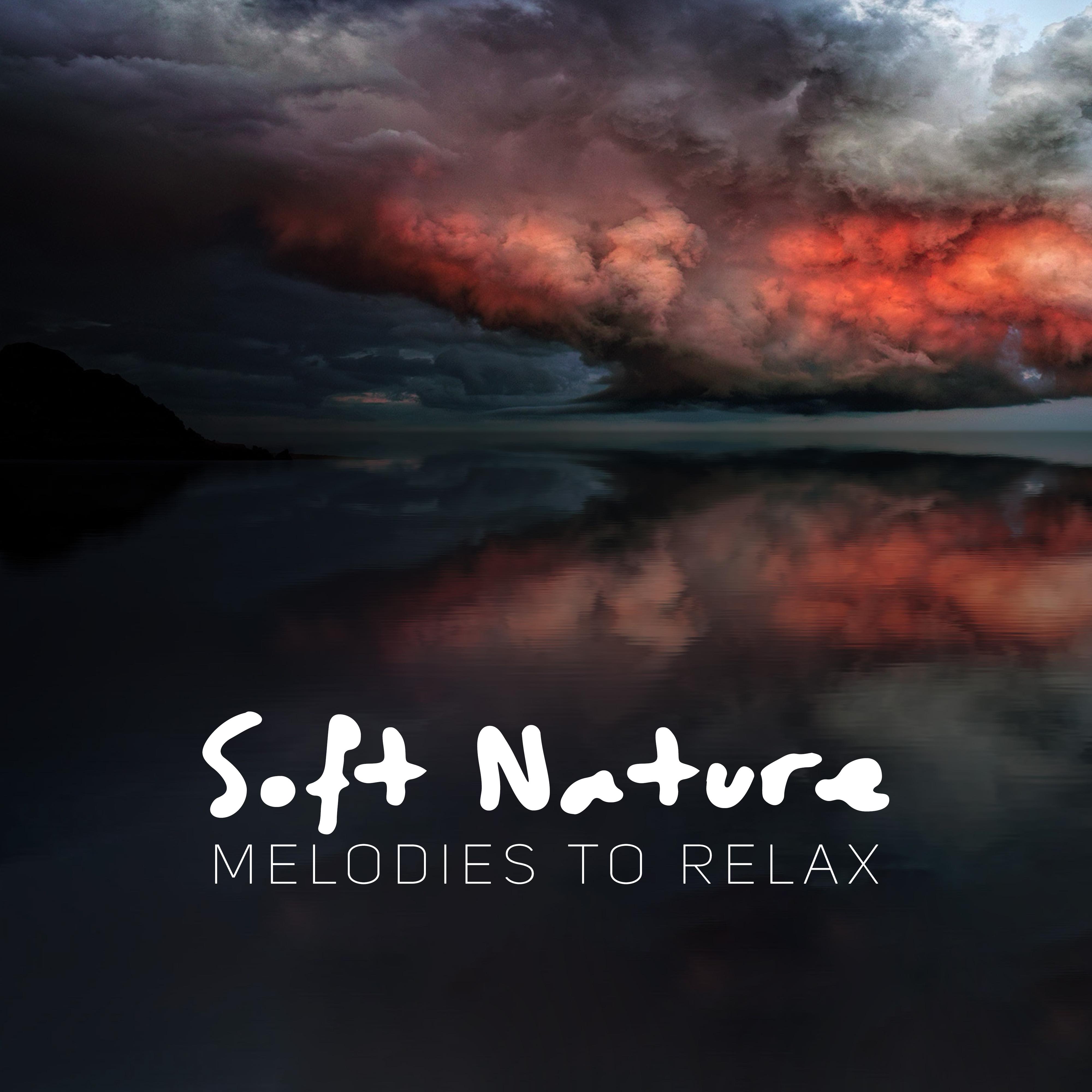 Soft Nature Melodies to Relax
