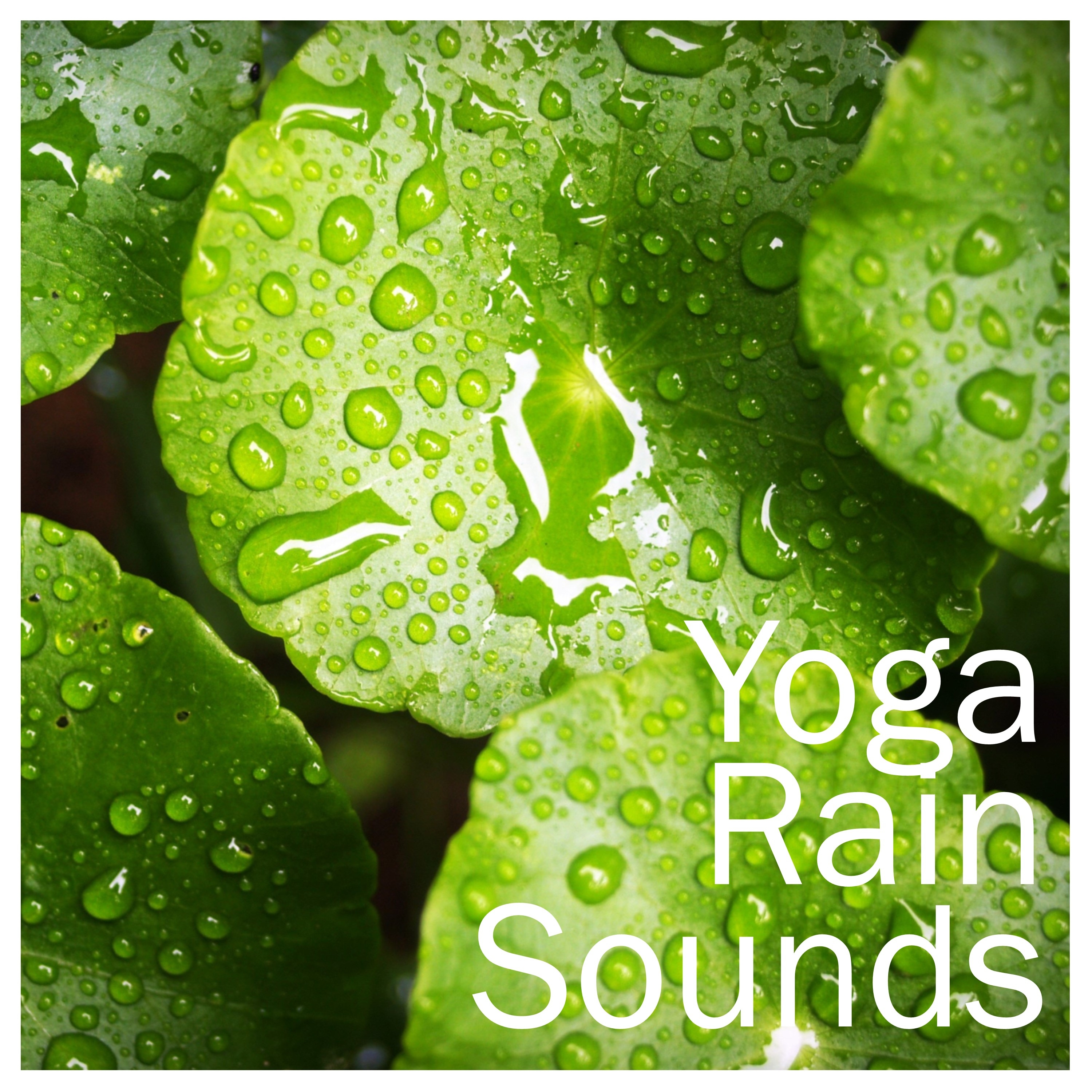 18 Rain Yoga Sounds - Relaxing, Soothing Ambient Music