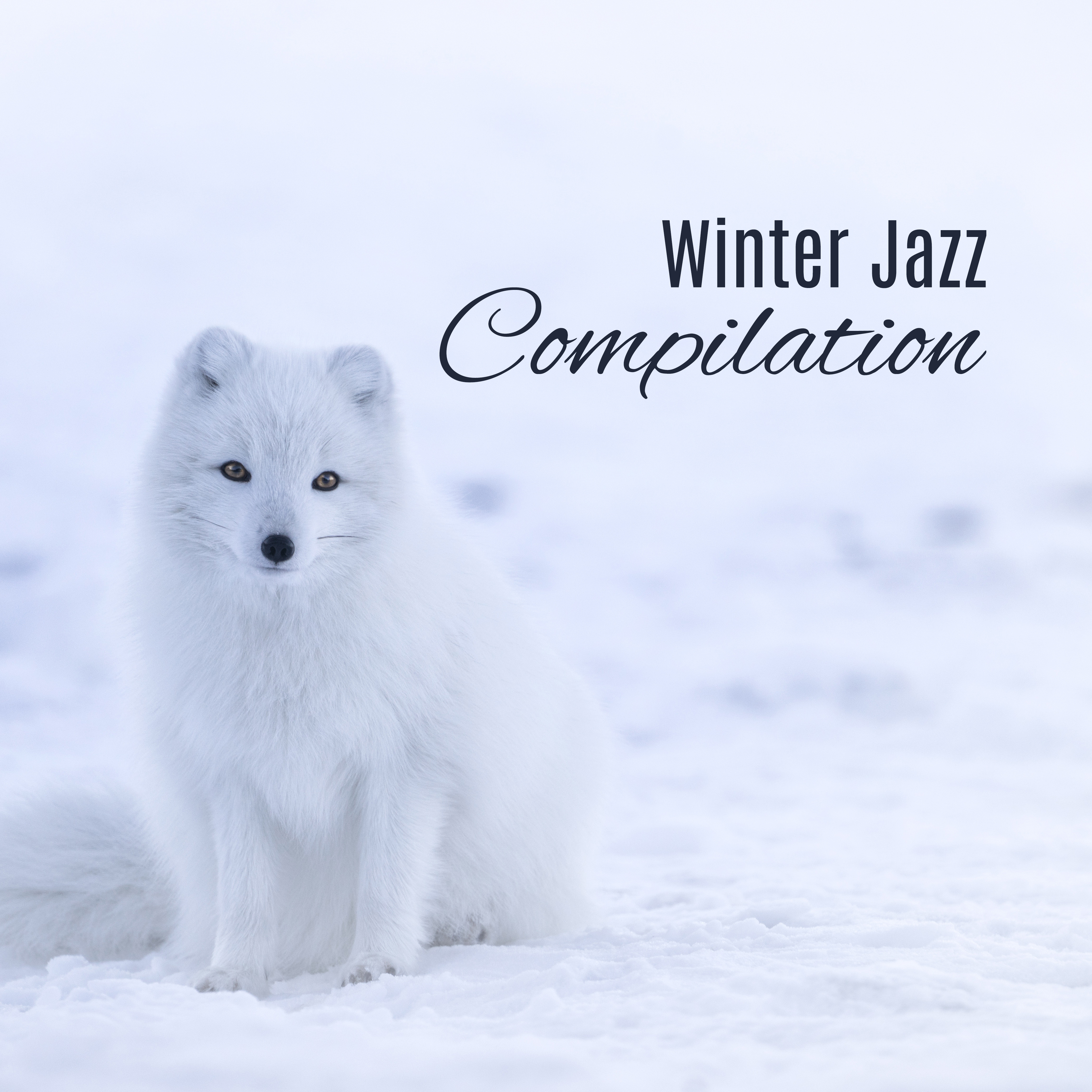 Winter Jazz Compilation