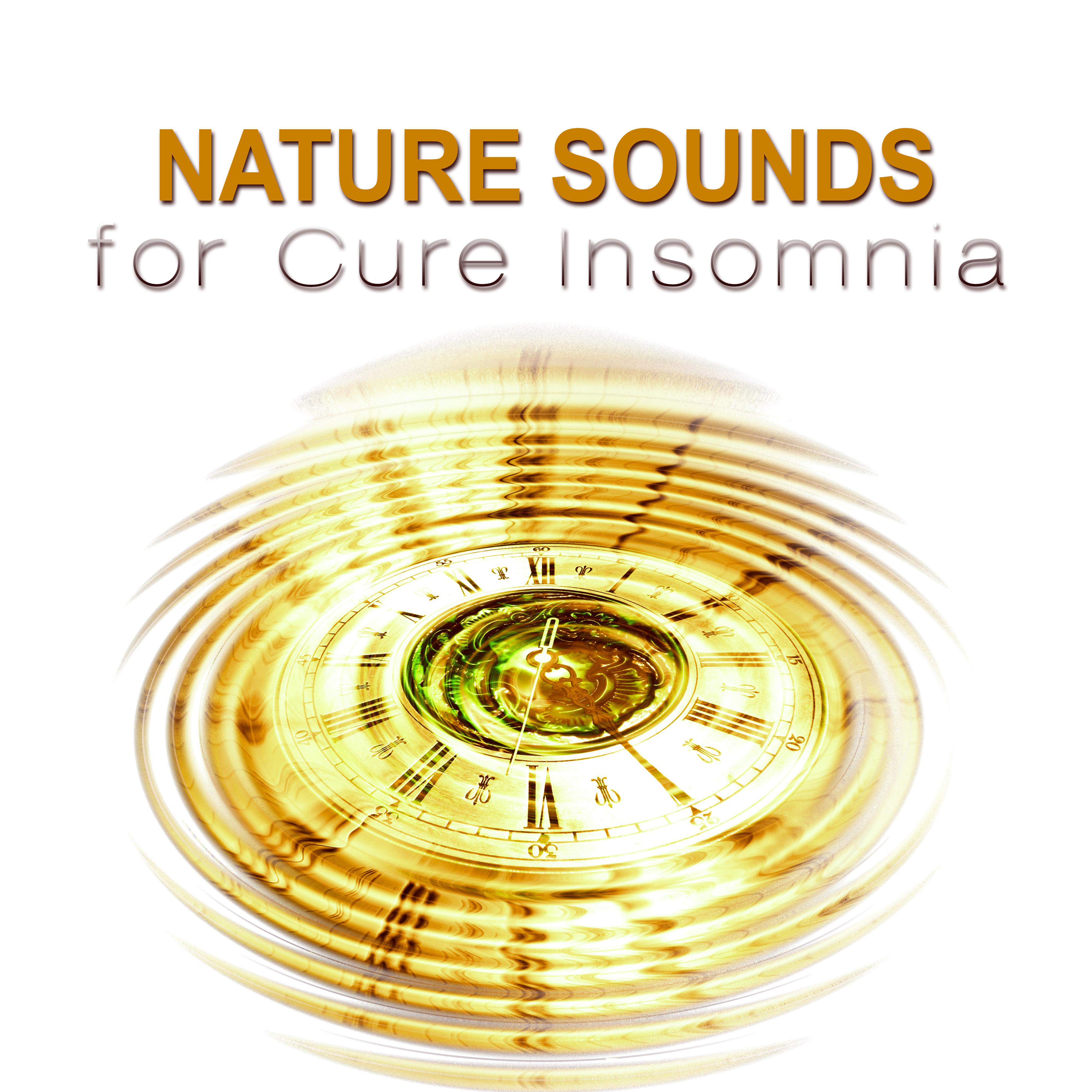 Nature Sounds for Cure Insomnia - Say Goodbye to Insomnia and Listen to Relaxing Sound of Ocean and Rain, Relaxation Moody Music for Deep Sleep