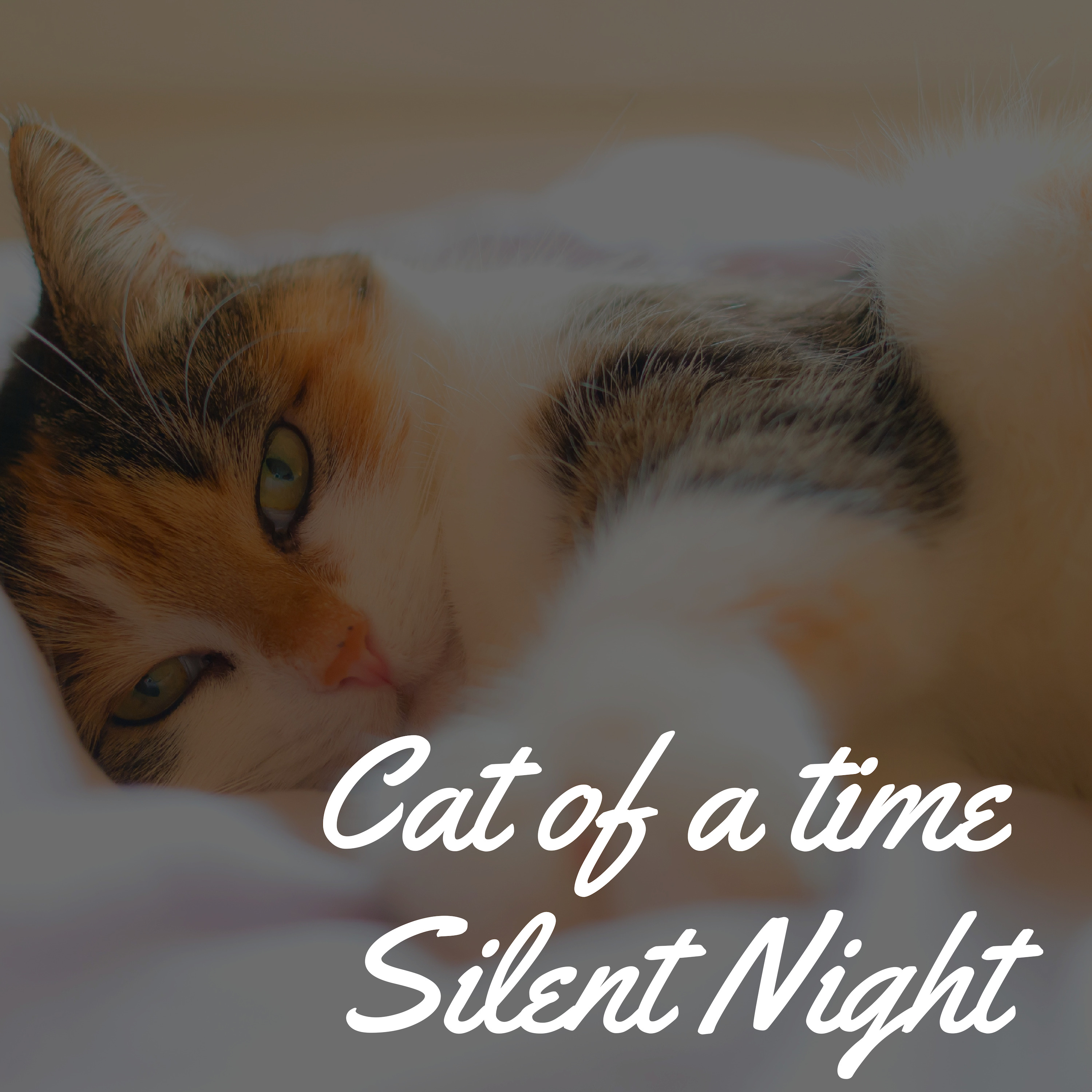 Silent Night