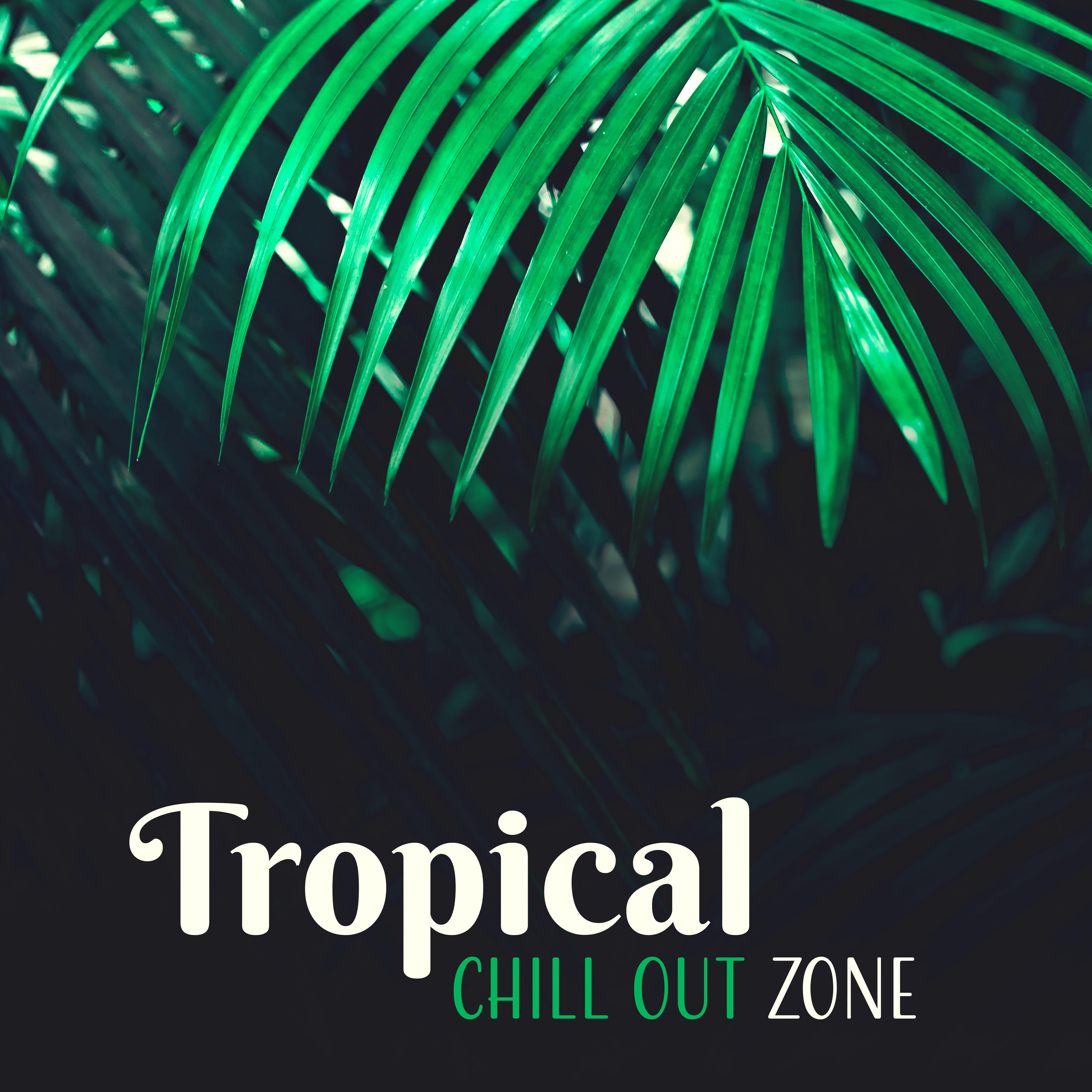 Tropical Chill Out Zone – Todays Chillout, Chill Out to Dance, Party Hits 2017, Relax, Exotic Beach