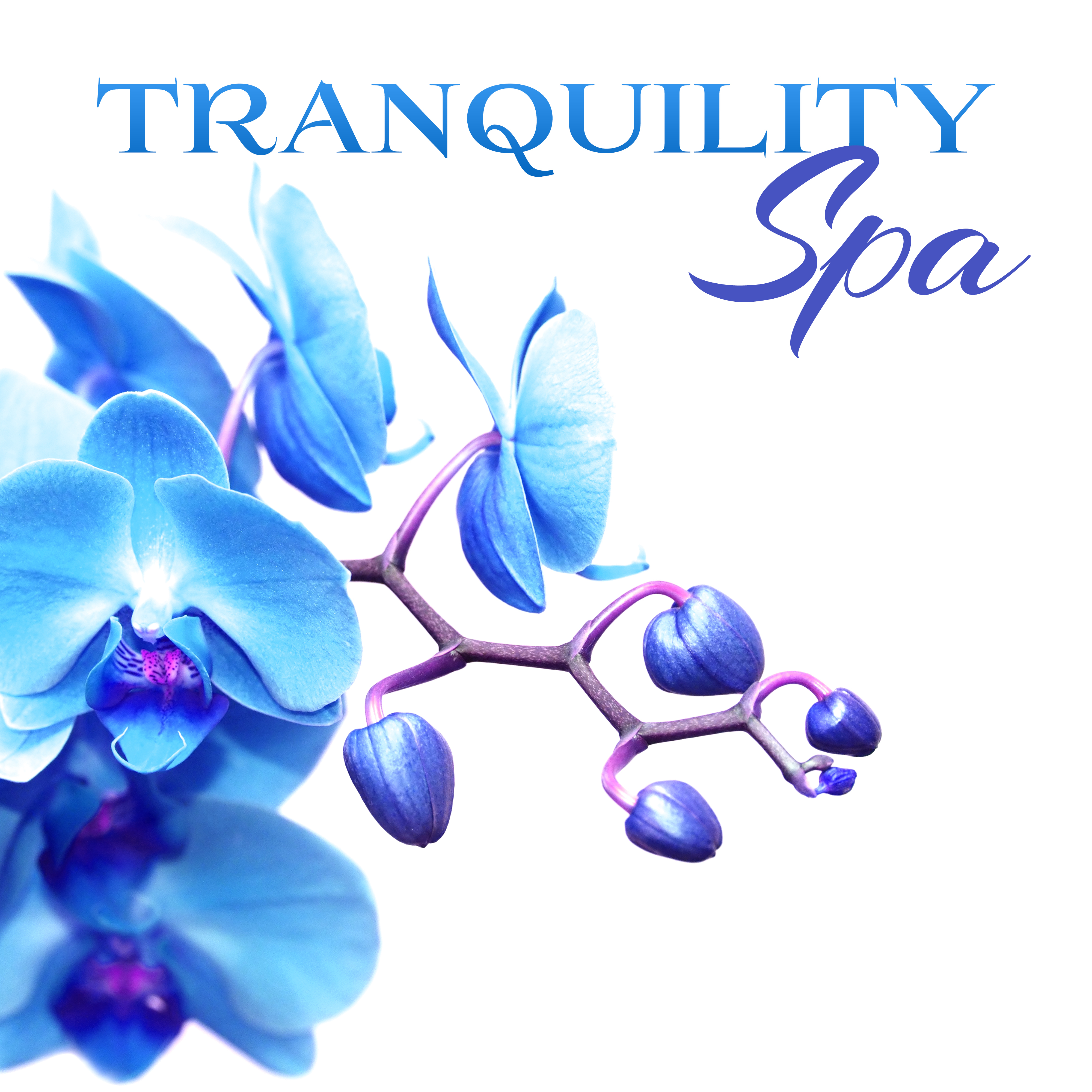 Tranquility Spa – Inner Harmony, Soft Spa Music, New Age 2017, Pure Relaxation, Massage Music, Zen