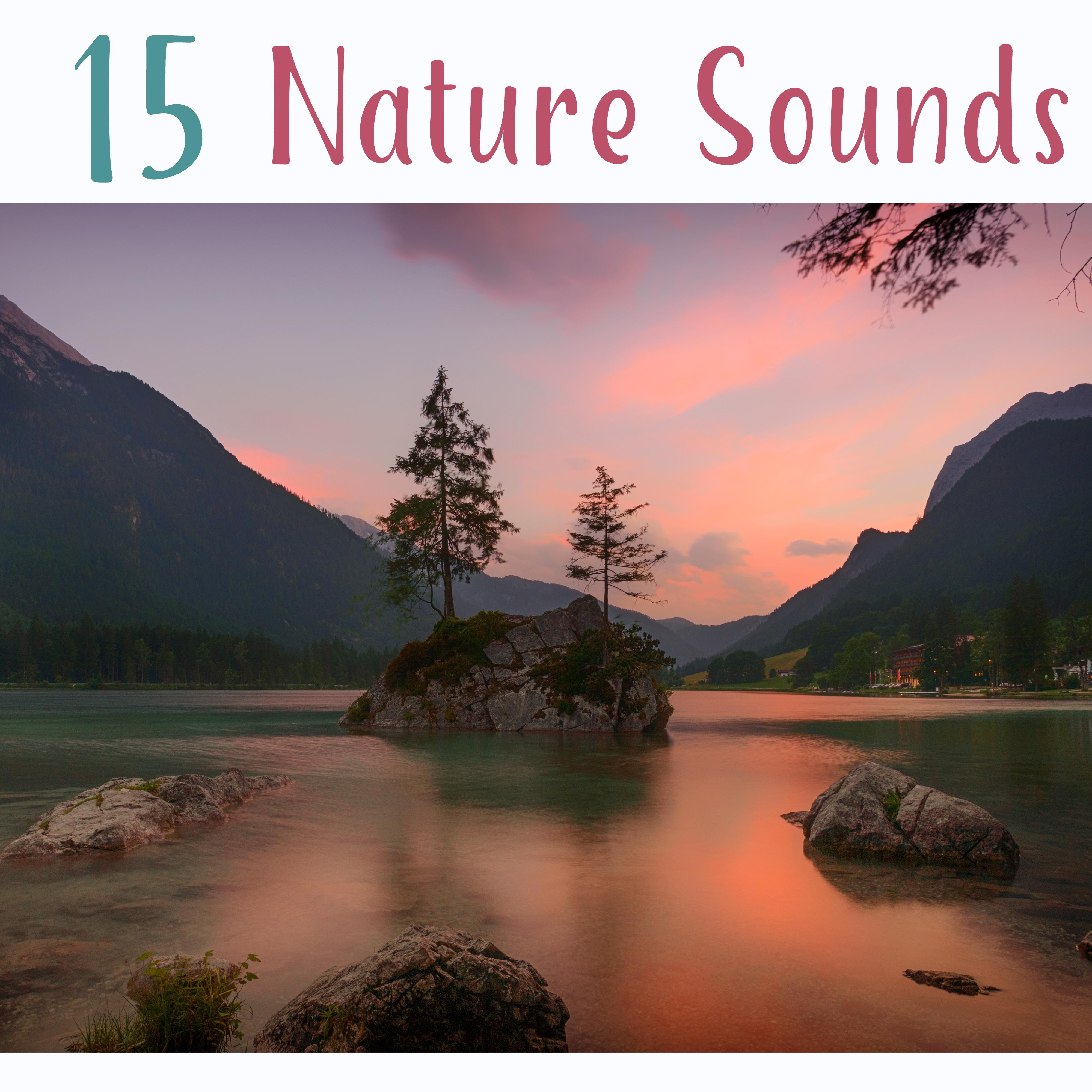 15 Nature Sounds