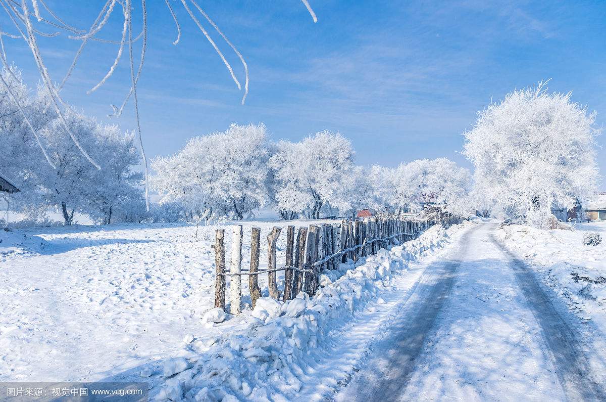 这里的冬天看不见雪