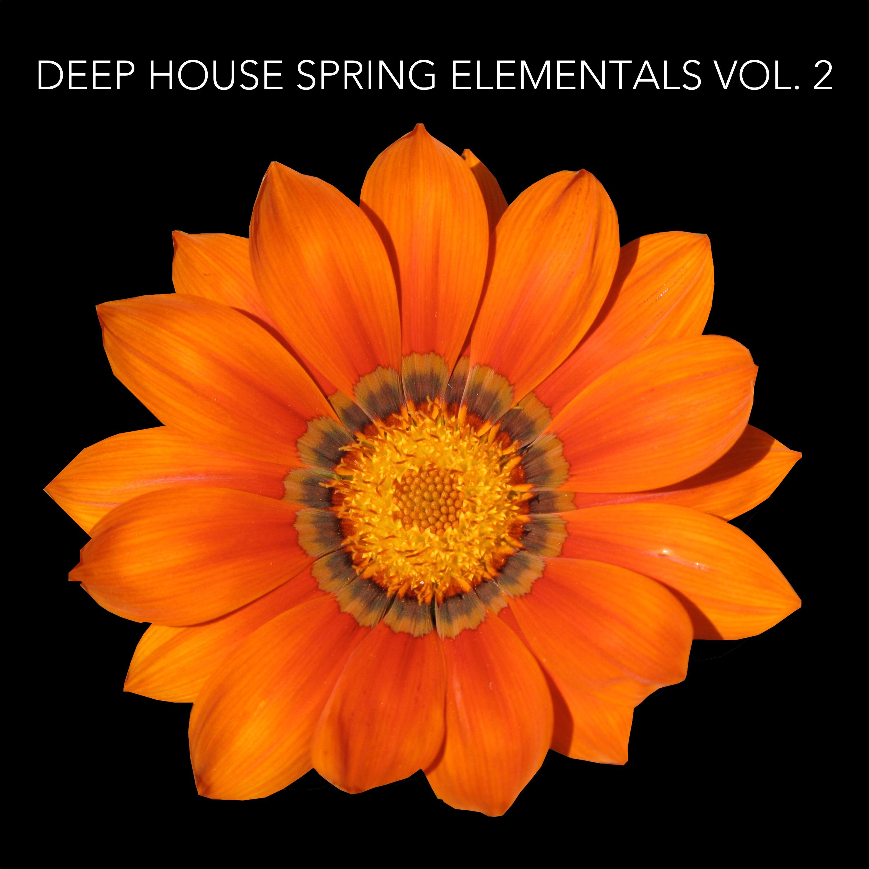 Deep House Spring Elementals, Vol. 2
