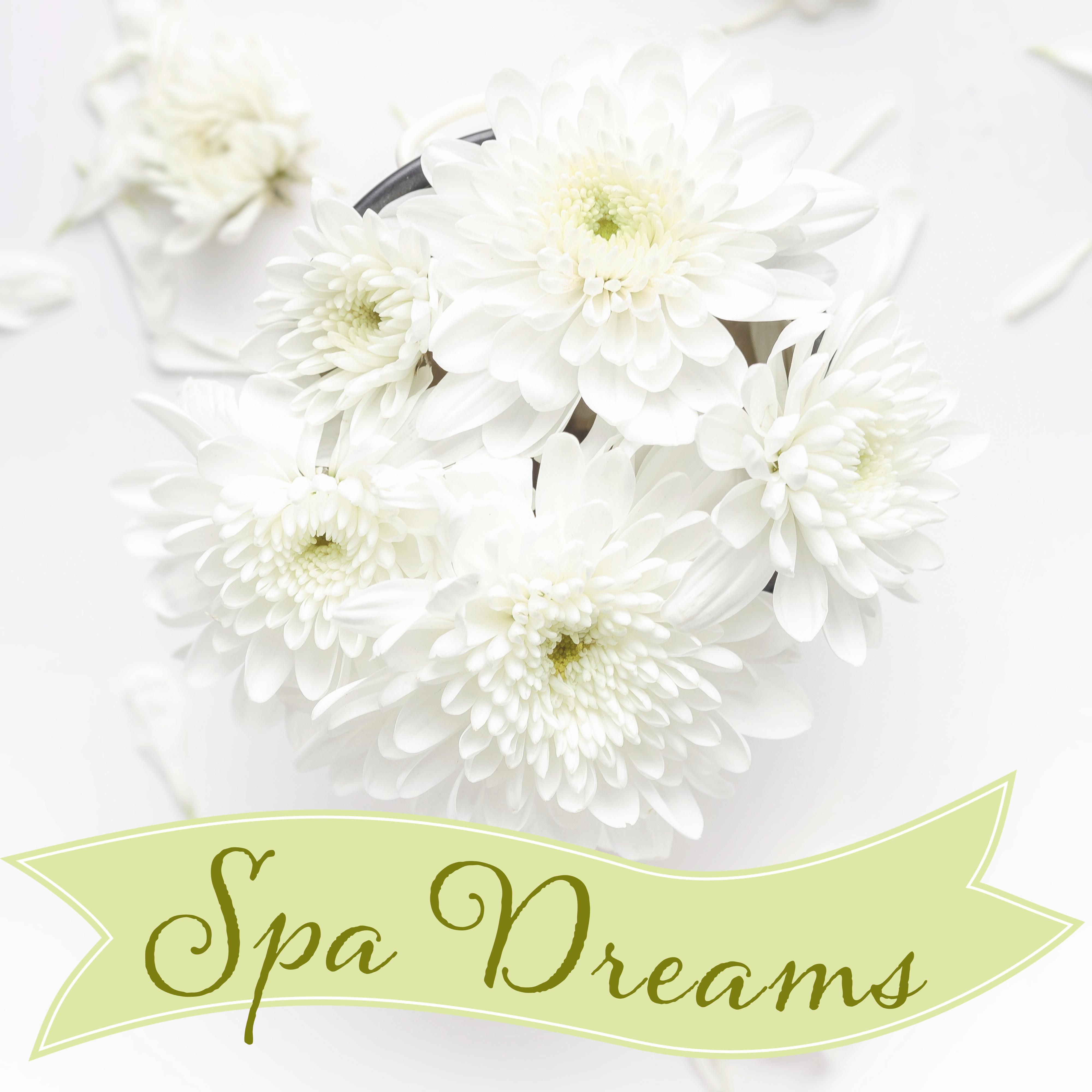 Spa Dreams – Best Relaxation, New Age, Sounds of Nature, Calm Down & Relax, Rest, Pure Mind