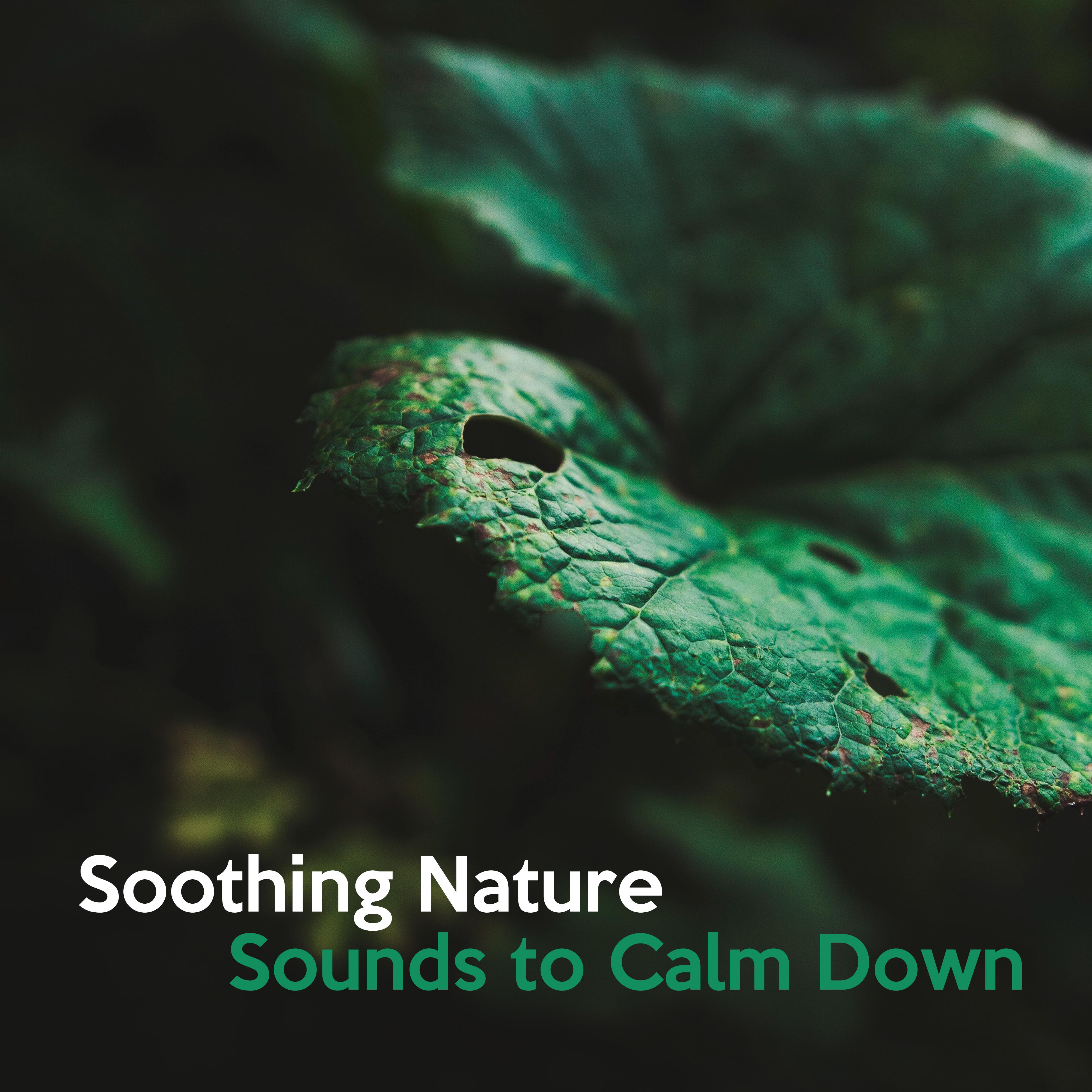 Soothing Nature Sounds to Calm Down – Peaceful Nature Waves, Spiritual Journey, Inner Calmness, Stress Free, New Age Music