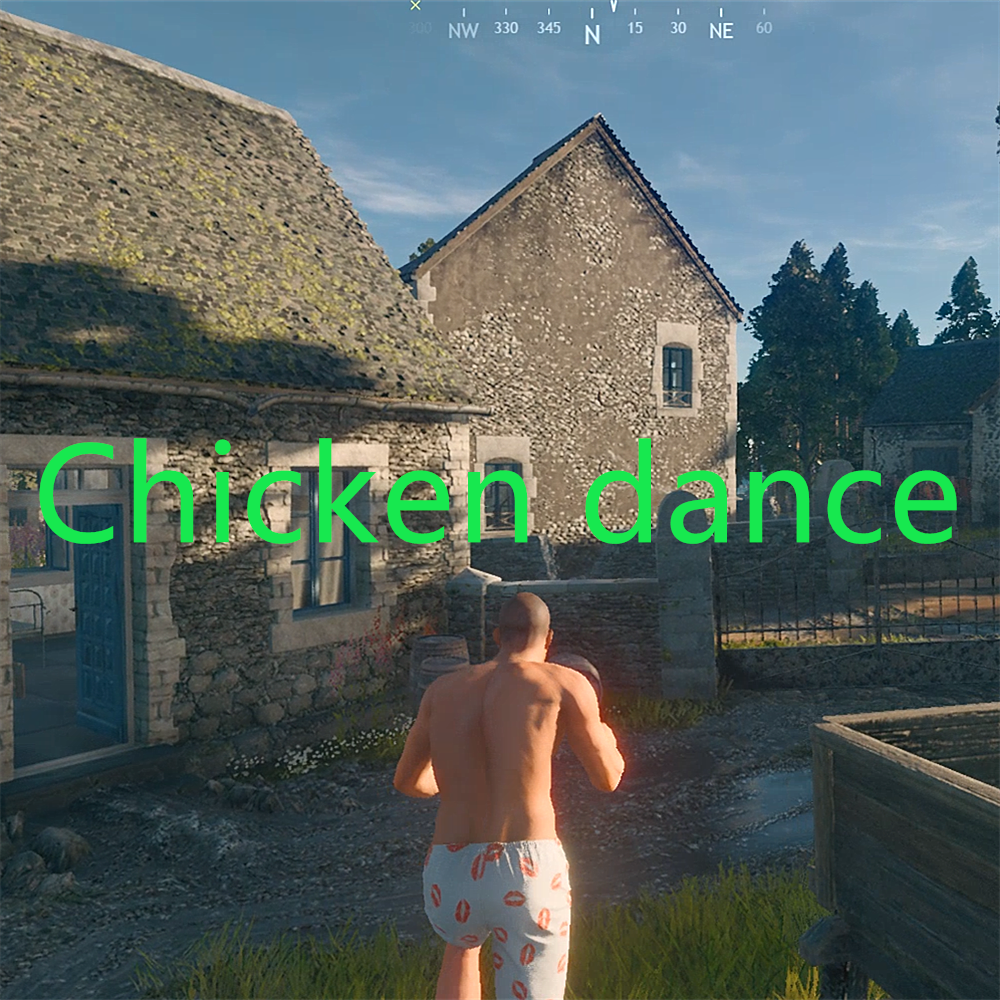 Chicken dance