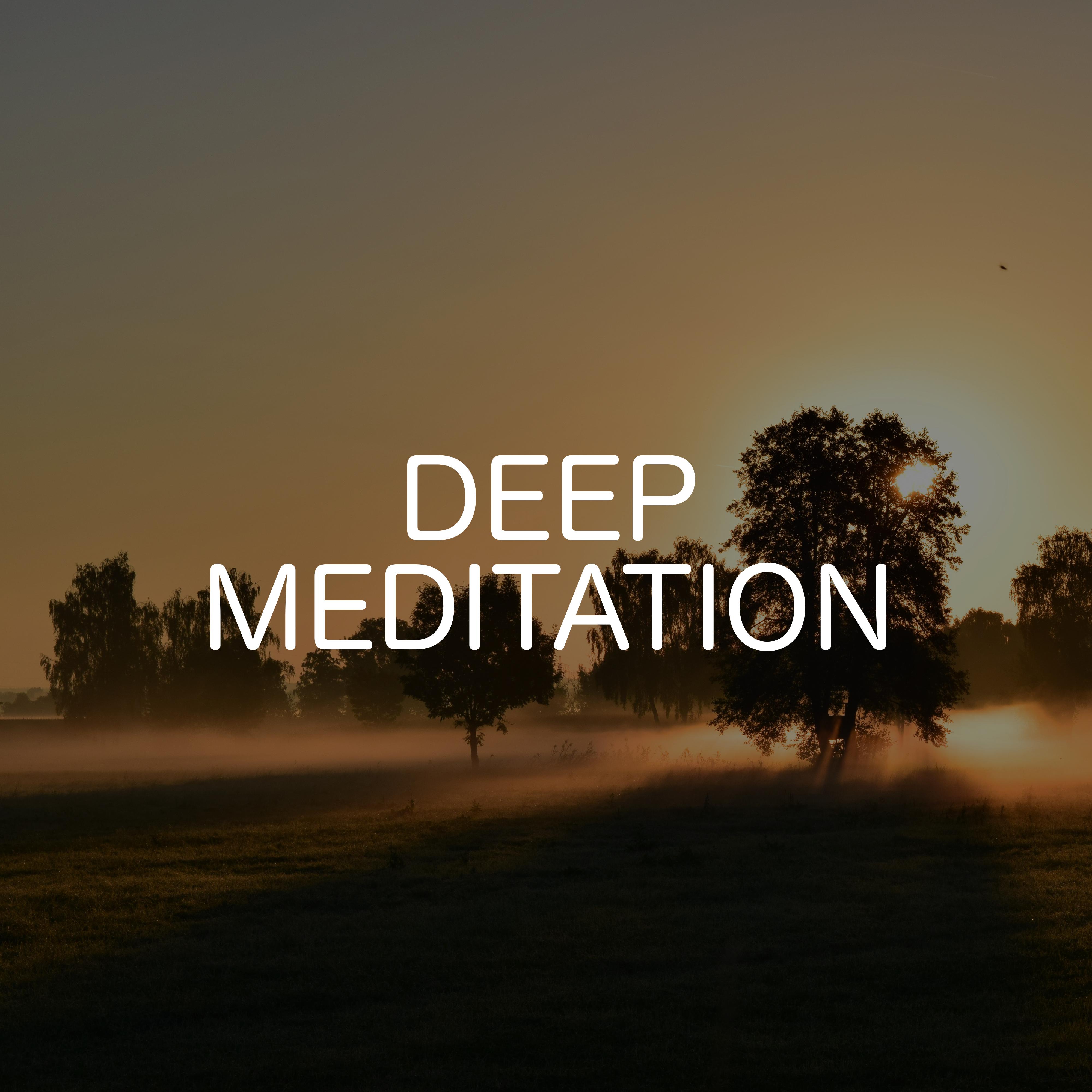 Meditate And Align