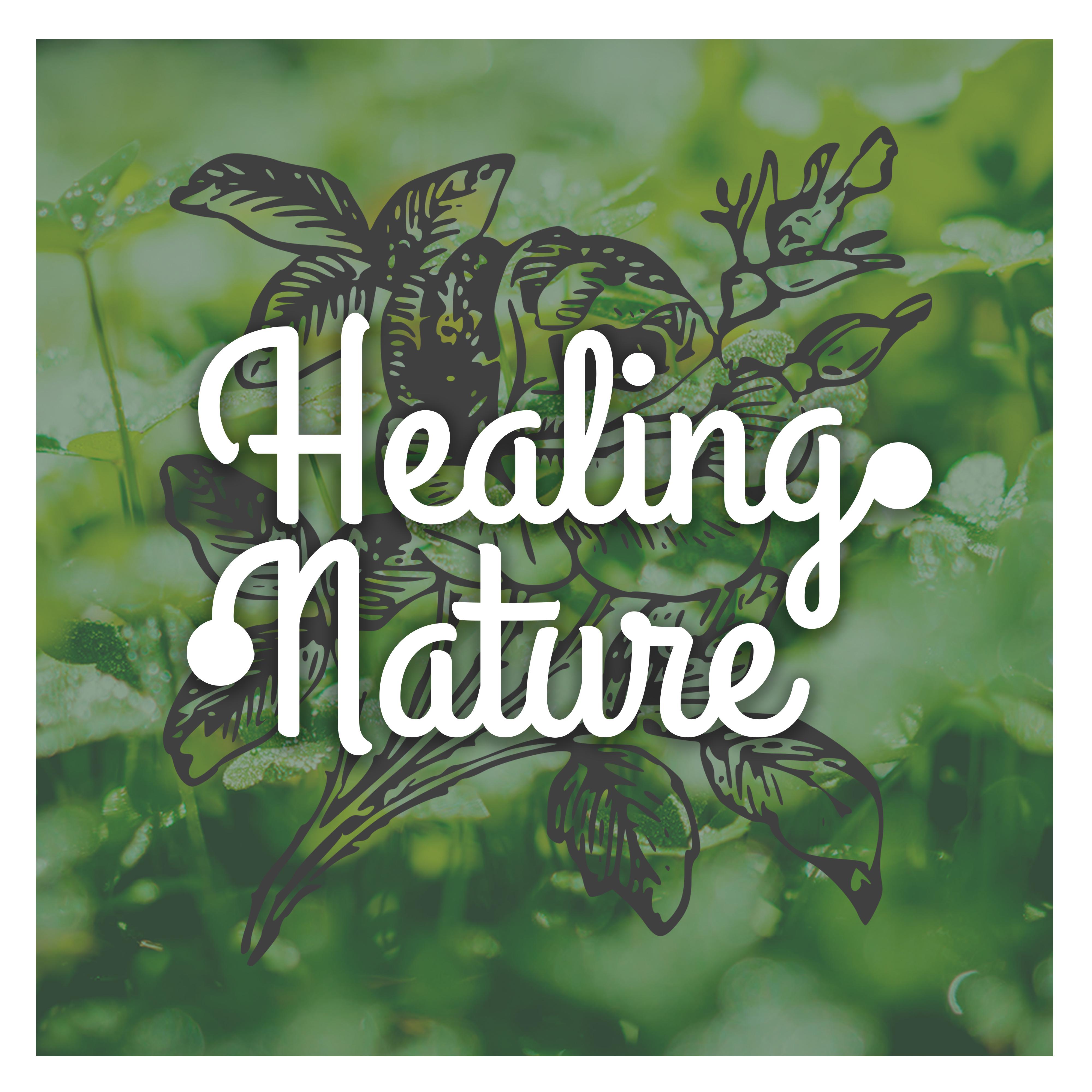 Healing Nature – Peaceful Music for Spa, Wellness, Deep Massage, Restful Sleep, Relaxing Waves, Sea Sounds, Stress Free, Asian Music