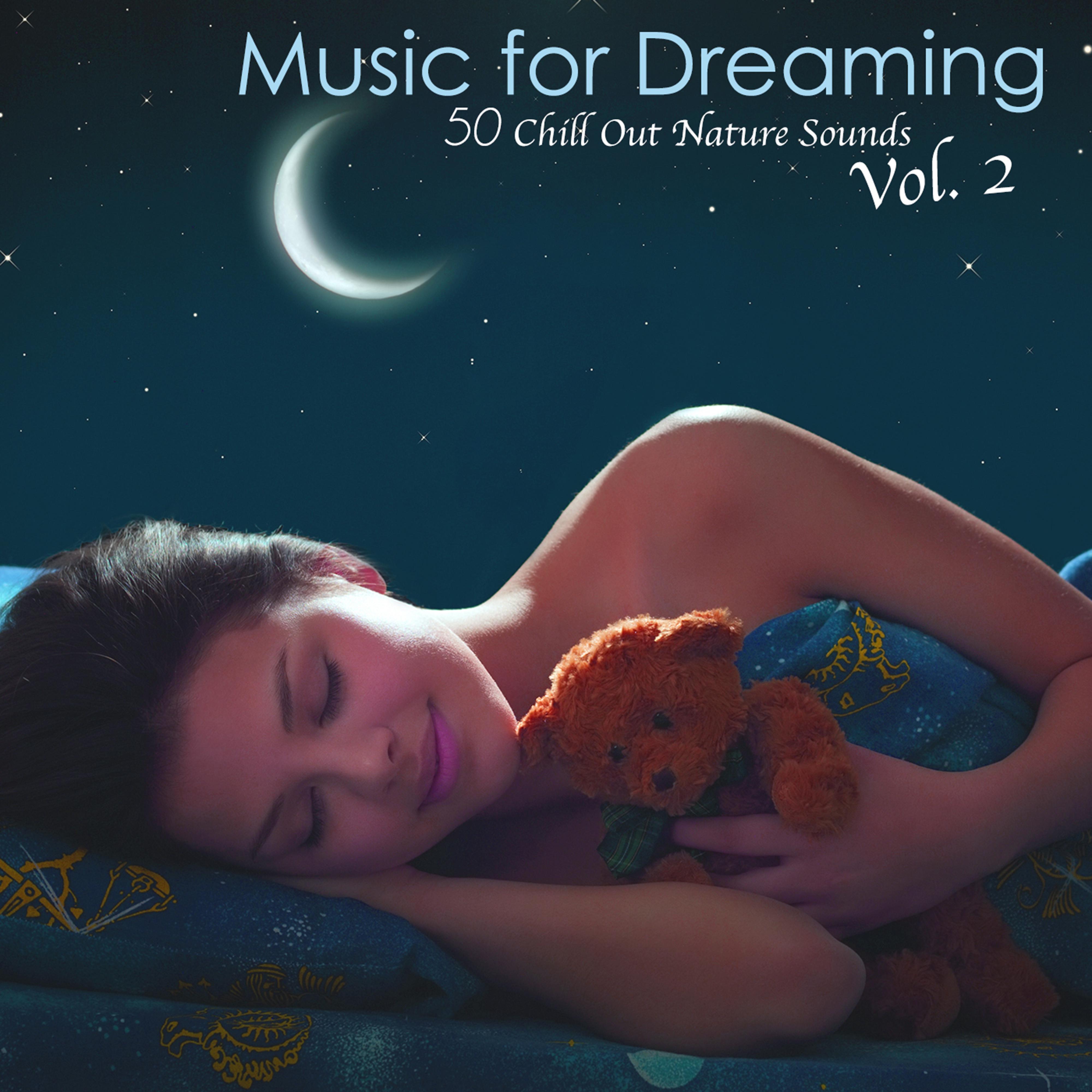 Music for Dreaming, Vol. 2 - 50 Chill Out Nature Sounds Relaxation Meditation Music, Chillax New Age Asian World Music 4 Tranquil Moments & Sleep Time