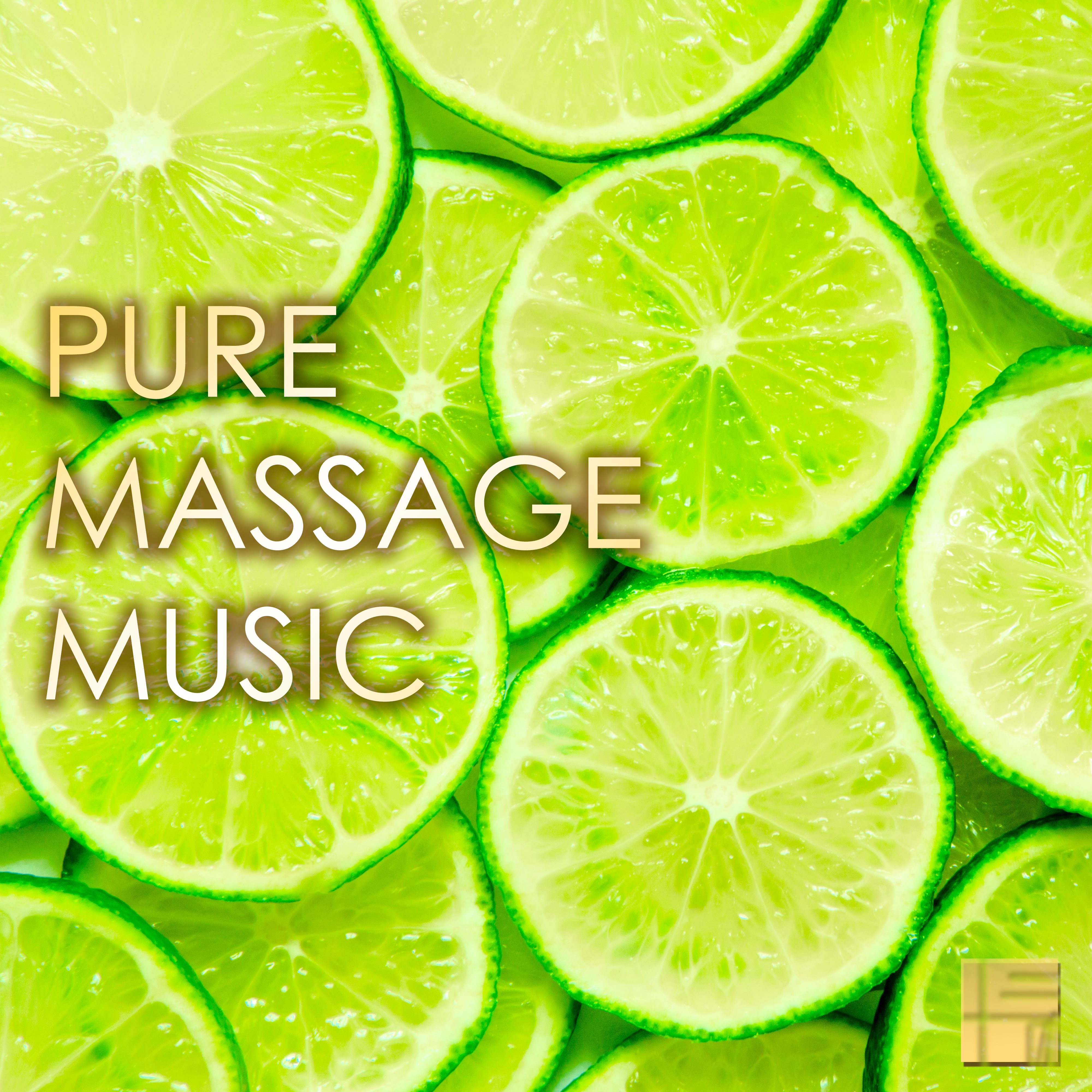 Pure Massage Music - Relaxing Background Music for Massage & Gentle Sounds of Nature, Day Spa Stress Relief