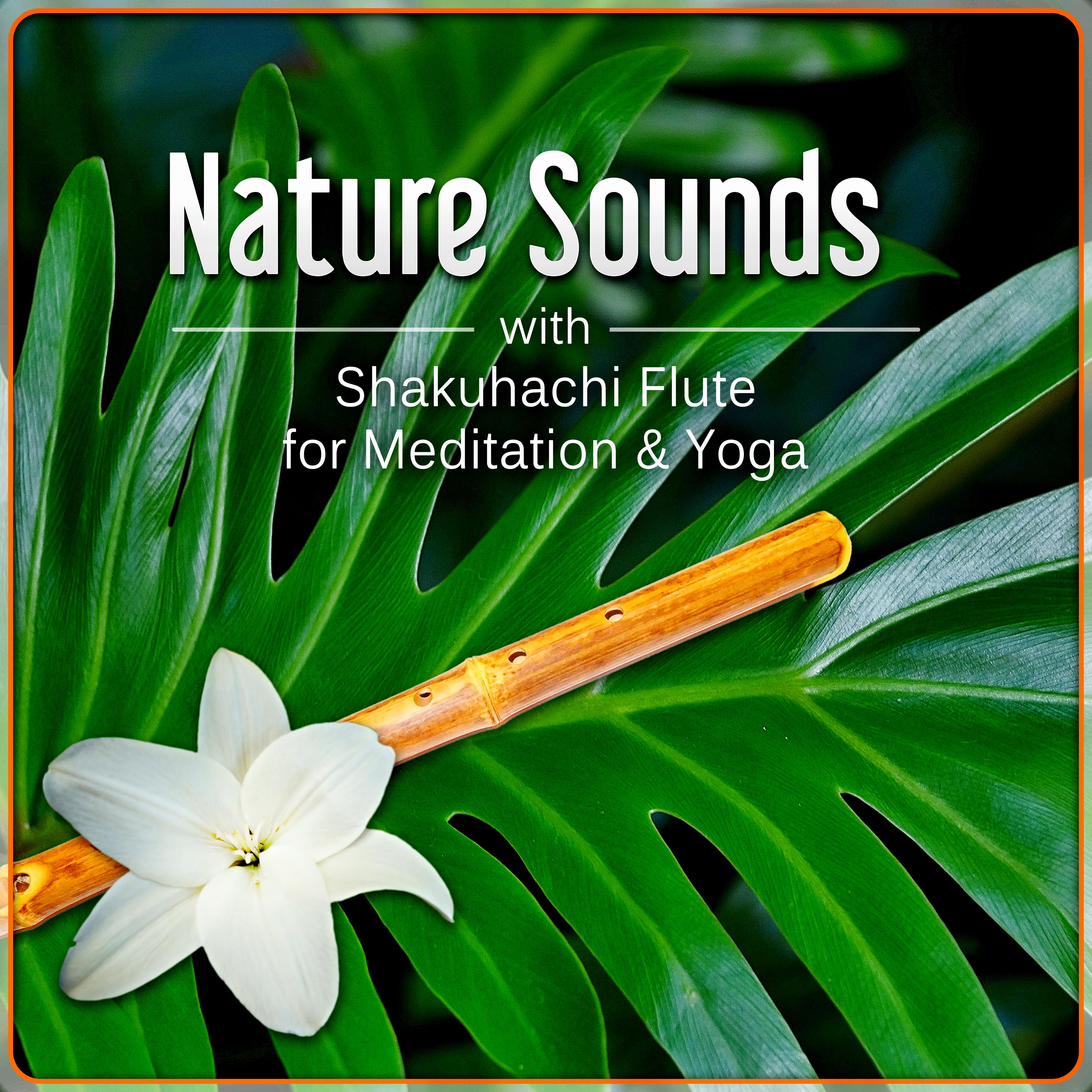 Nature Sounds with Shakuhachi Flute for Meditation