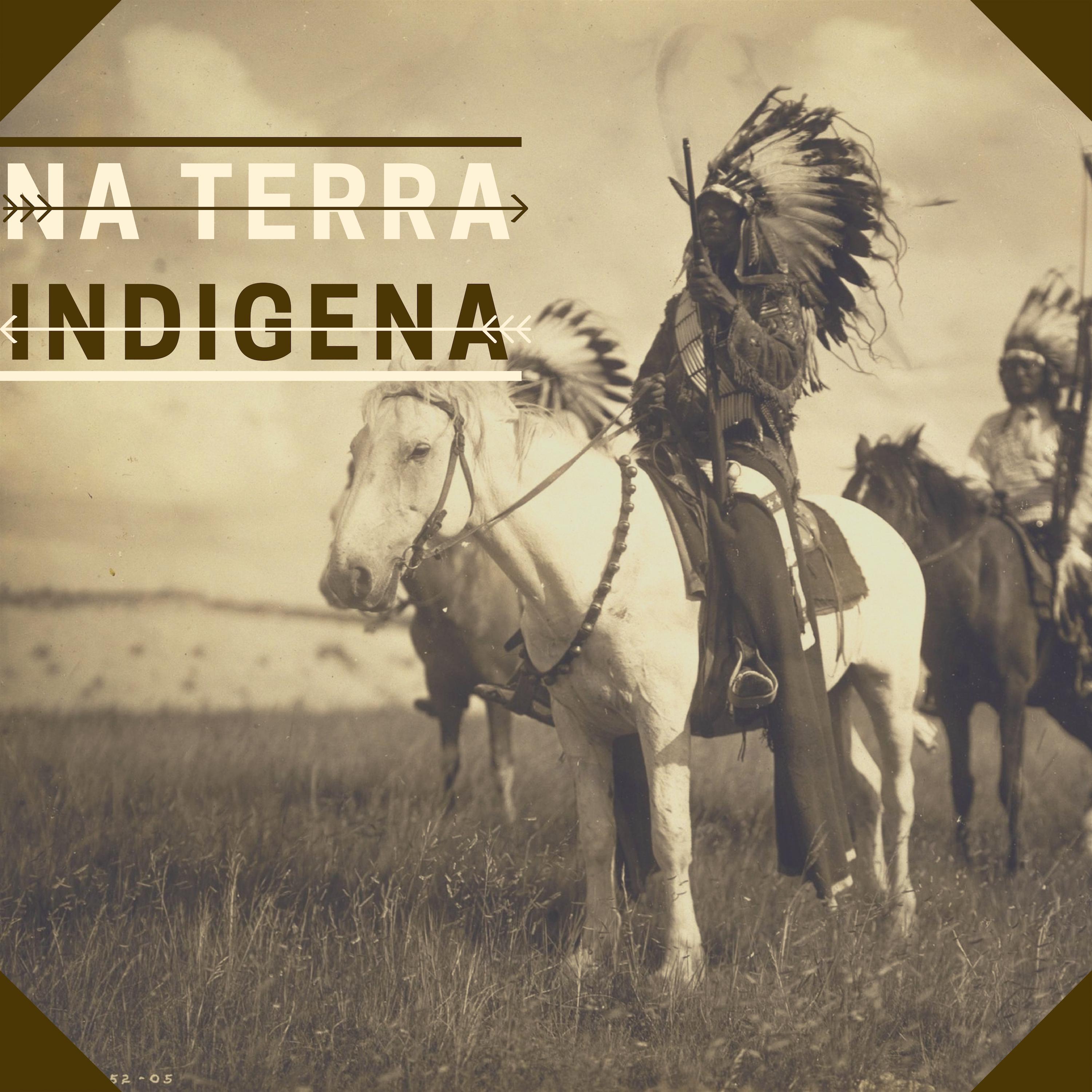 Na Terra Indigena - Música Indios Norte Americanos para Relaxamento e Meditação