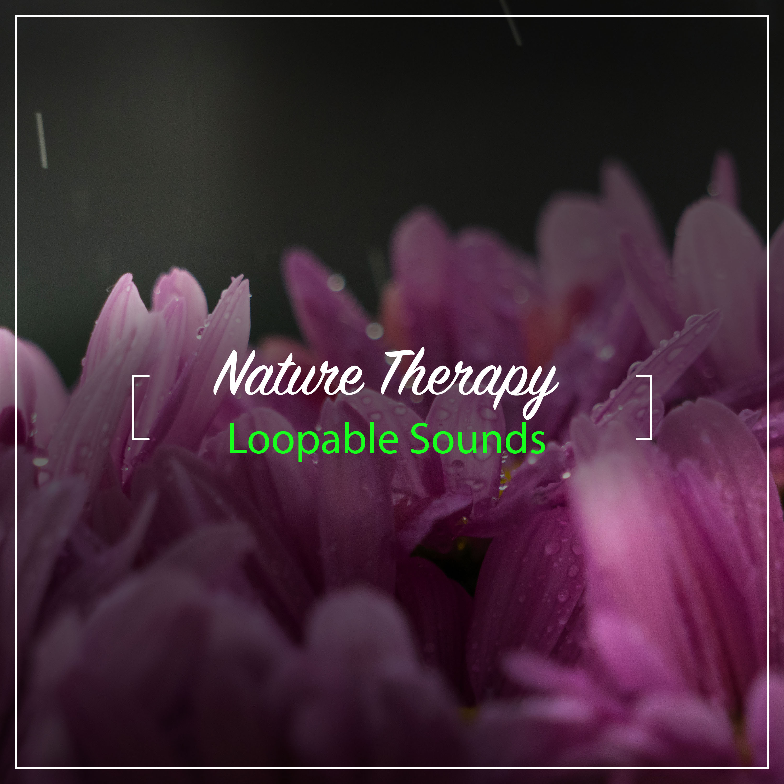 14 Loopable Nature Therapy Sounds
