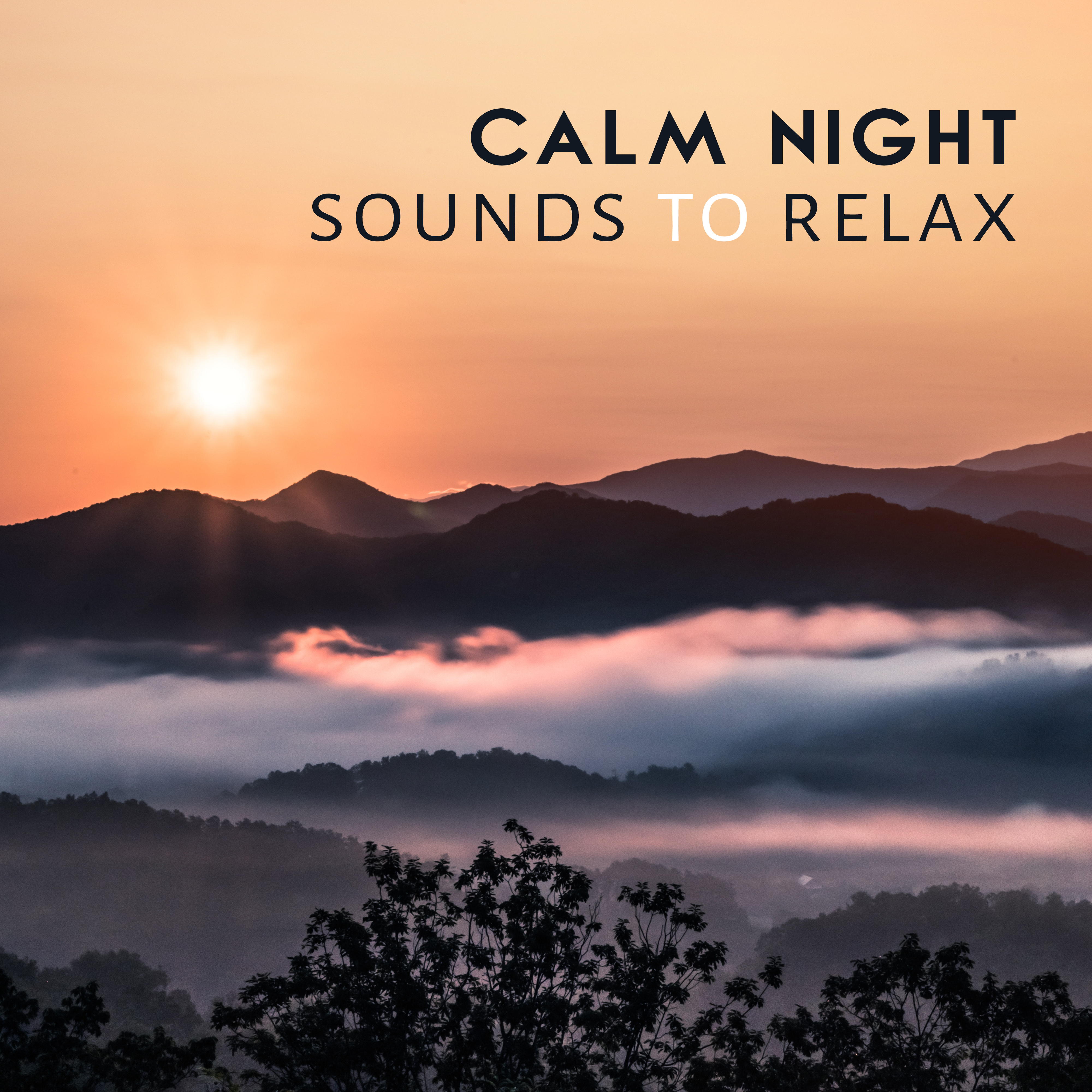Calm Night Sounds to Relax