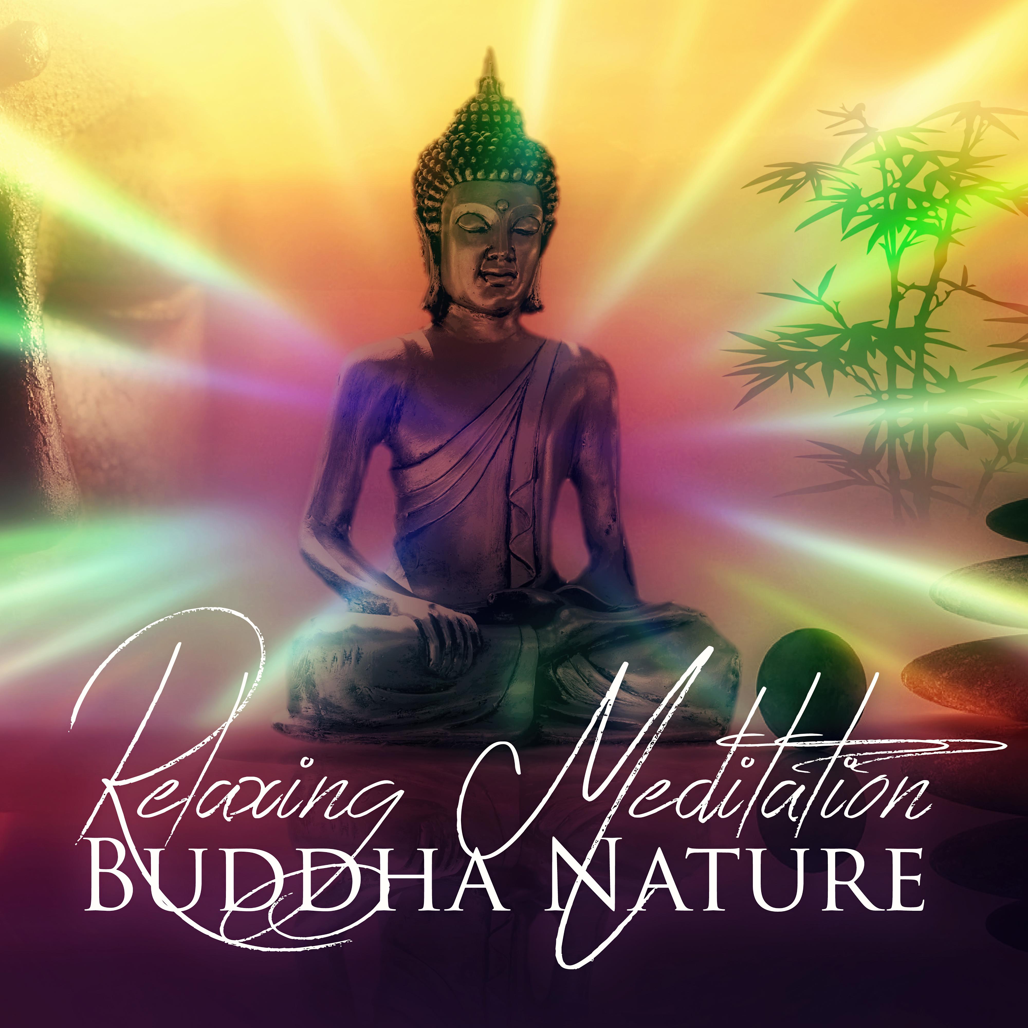 Relaxing Meditation Buddha Nature – Sounds of Nature, Contemplation, Relaxation Tracks, Deep Meditation, Rainbow Body