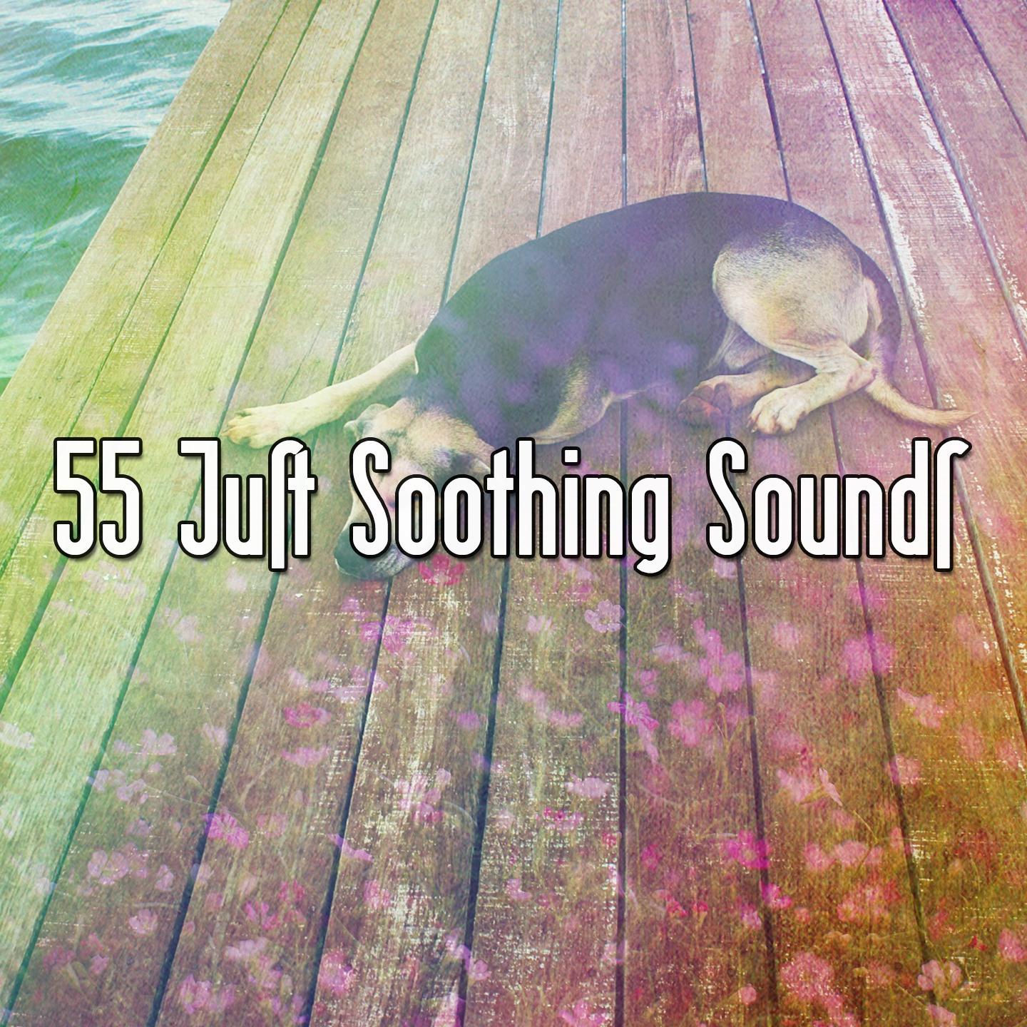 55 Just Soothing Sounds