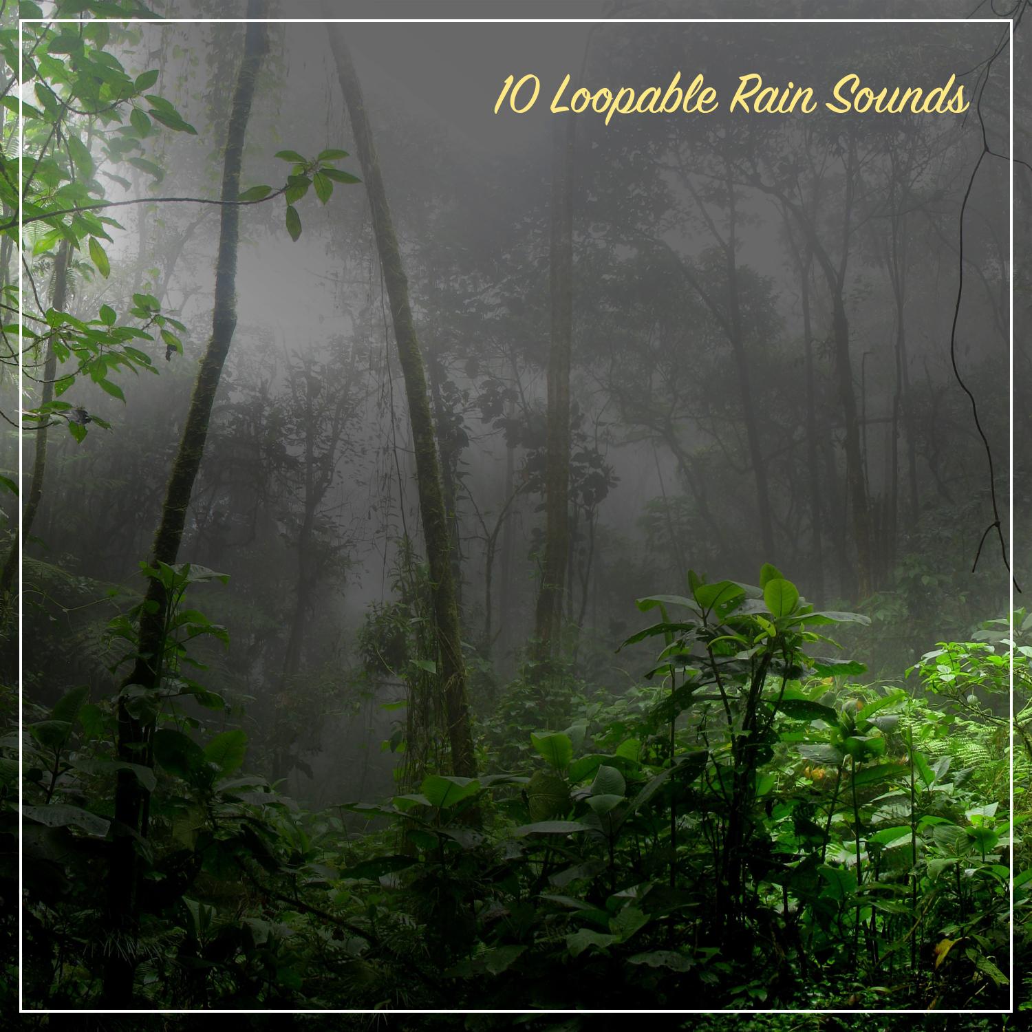 10 Loopable Rain Sounds - A Sleep Aid, Meditation & Yoga Guide, Study Sound or White Noise