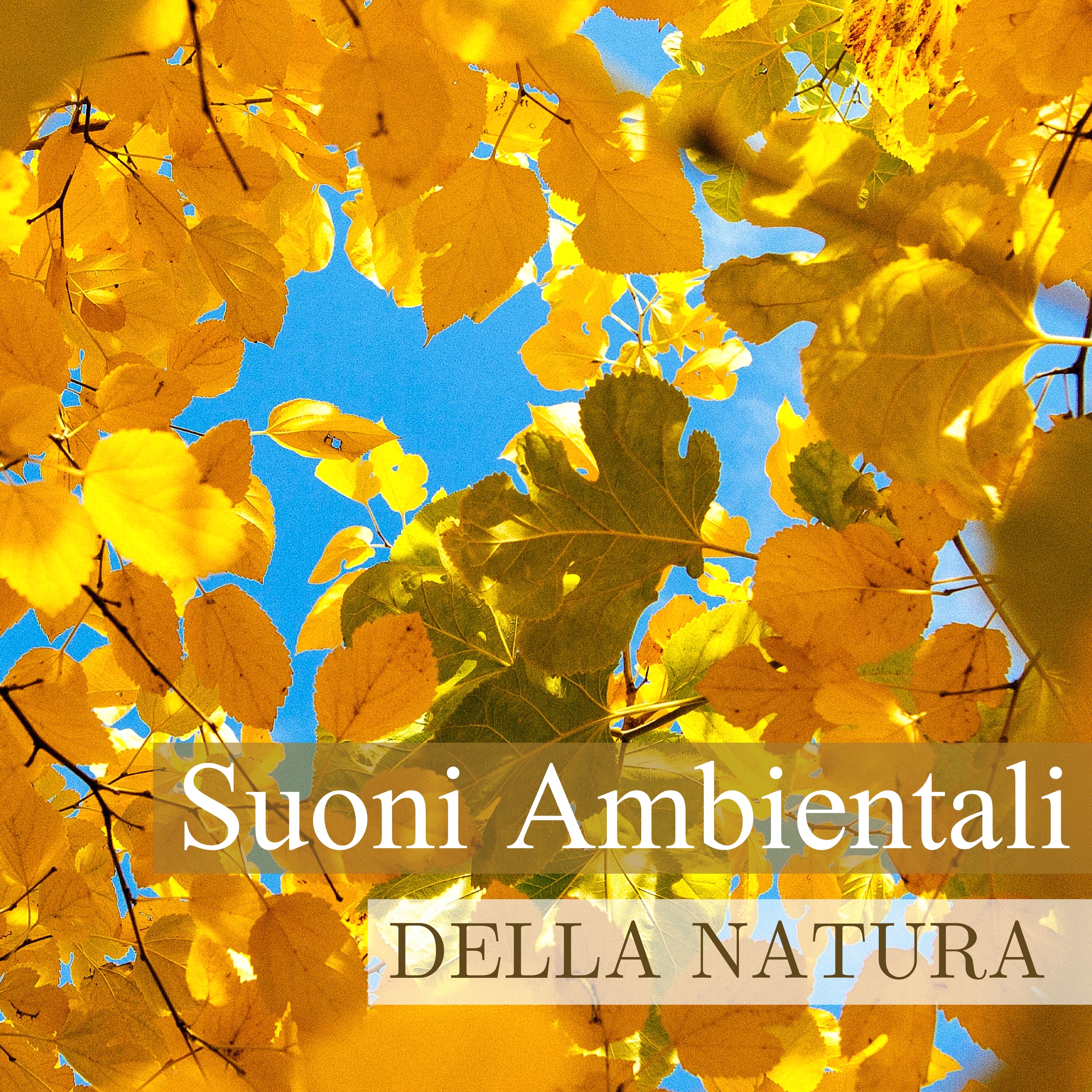 Suoni Ambientali della Natura