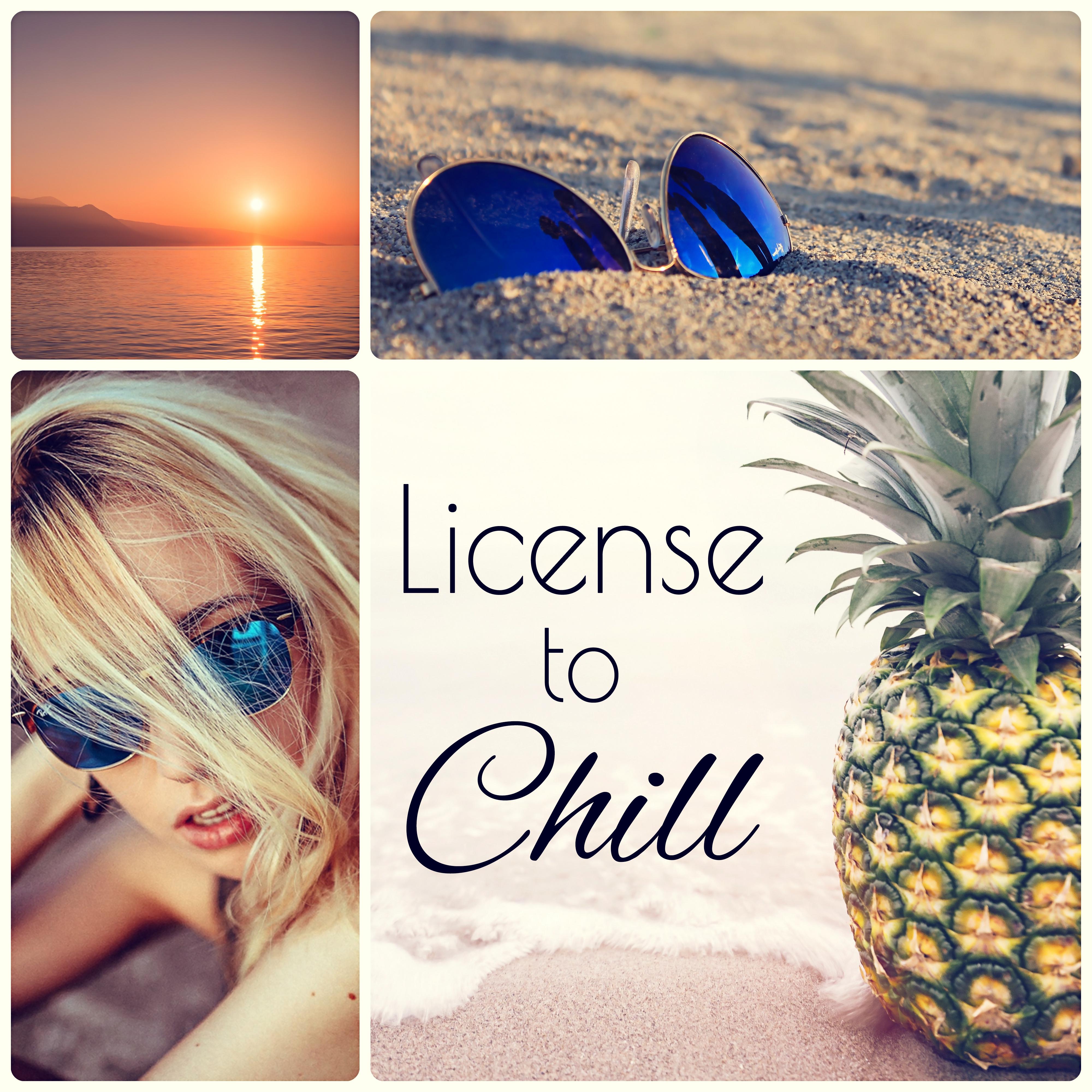 License to Chill - Beach Party Electronic Music, Ministry of Sound, Chill Lounge