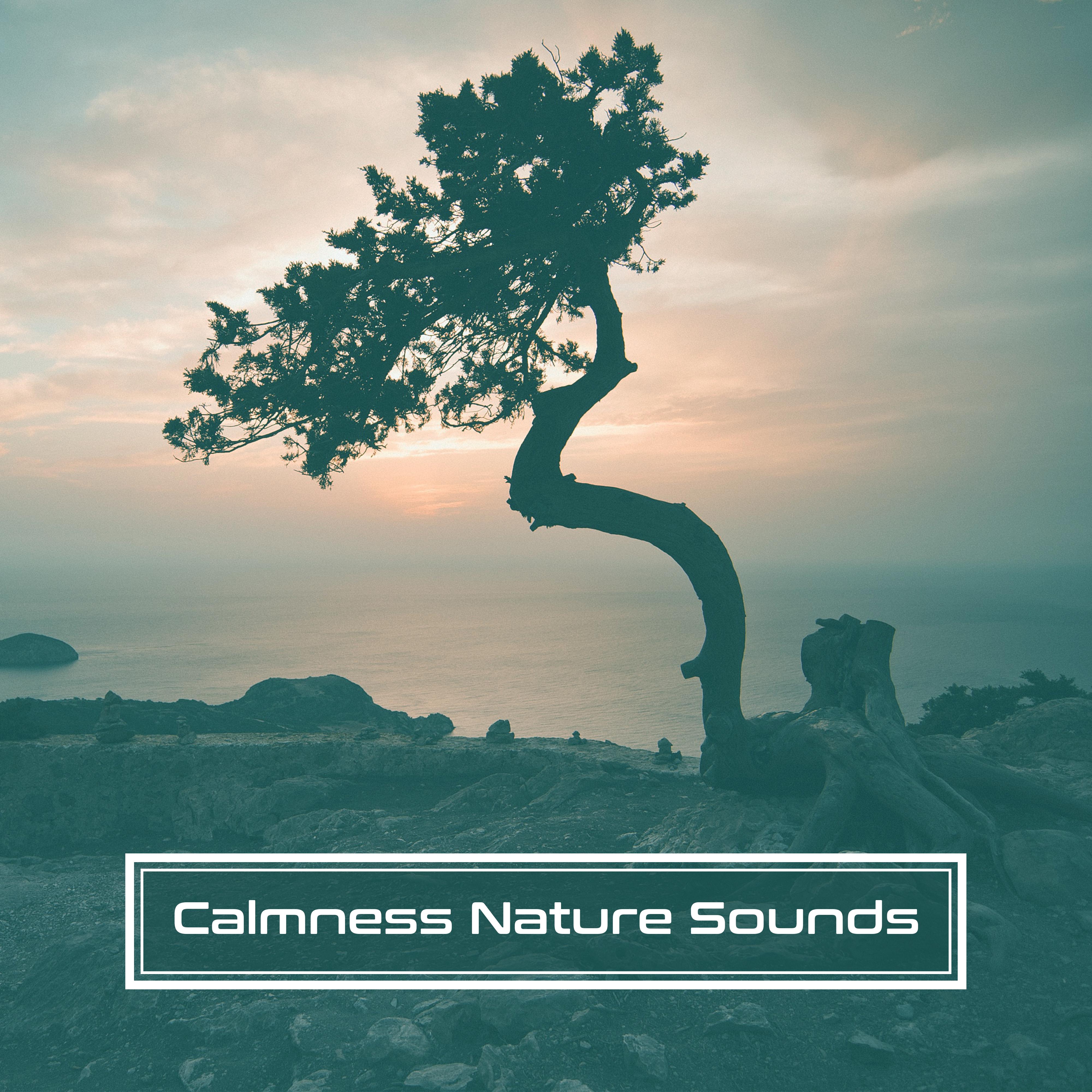 Calmness Nature Sounds – Music to Relax, Rest with New Age Sounds, Healing Waves, Soothing Wind Blows