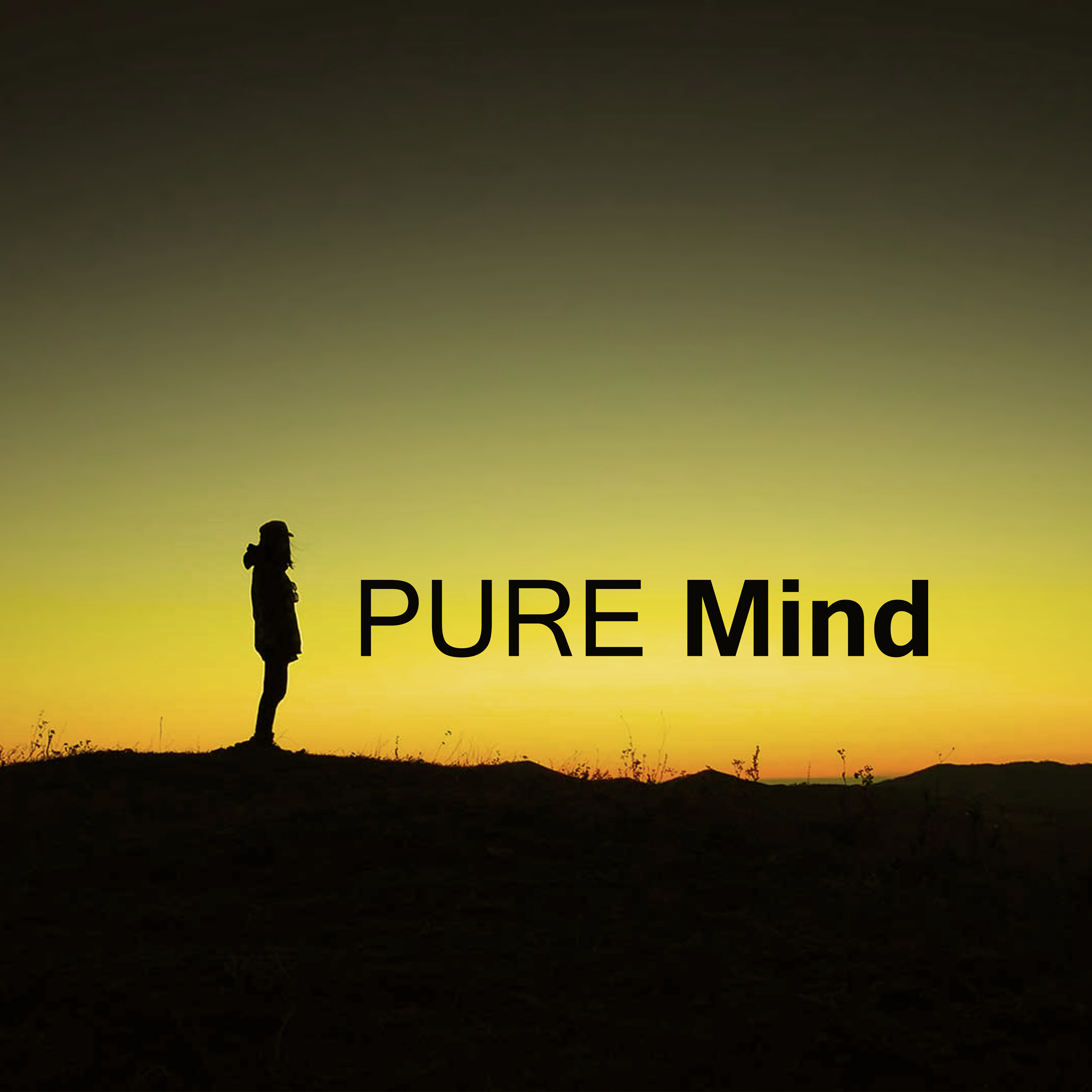 Pure Mind – Soft Music for Relaxation, Stress Relief, Sounds of Water, Best New Age Music 2017, Nature Sounds to Rest