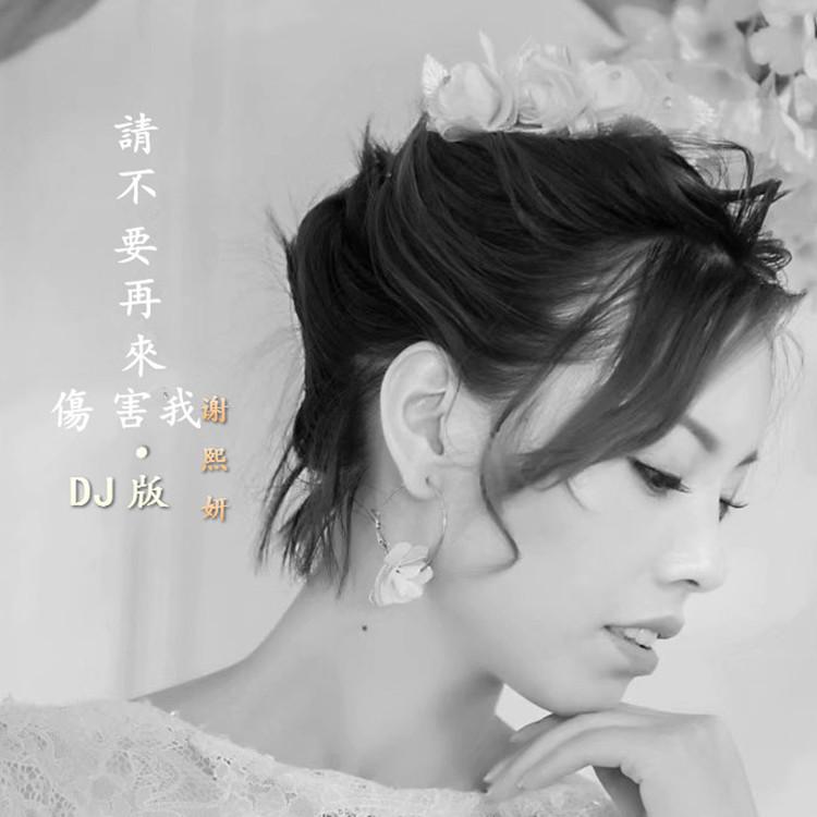 请不要再来伤害我-dj版