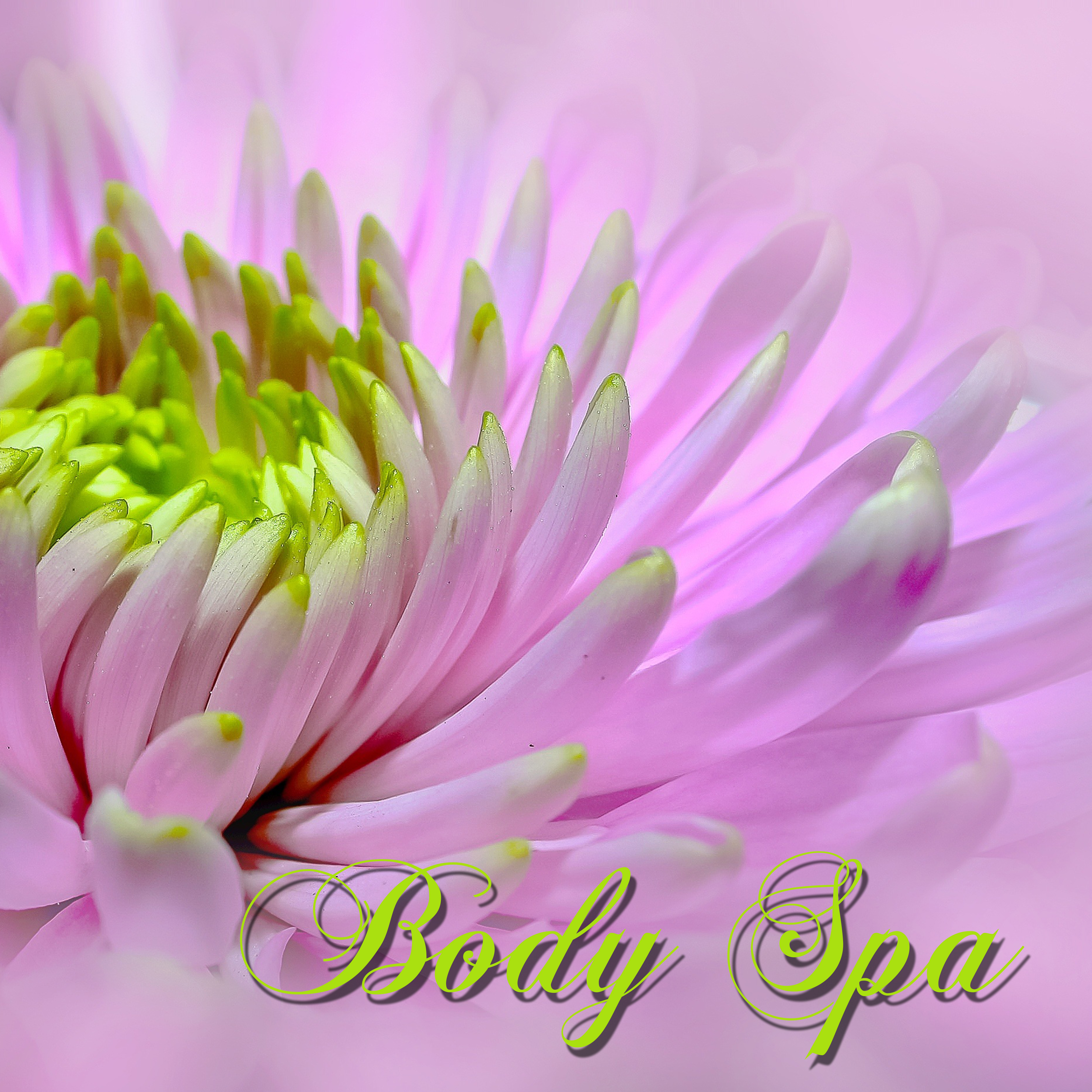 Body Spa – Peaceful Spa Songs for Massage, Body Scrub, Sauna, Turkish Bath & Spa Treatments
