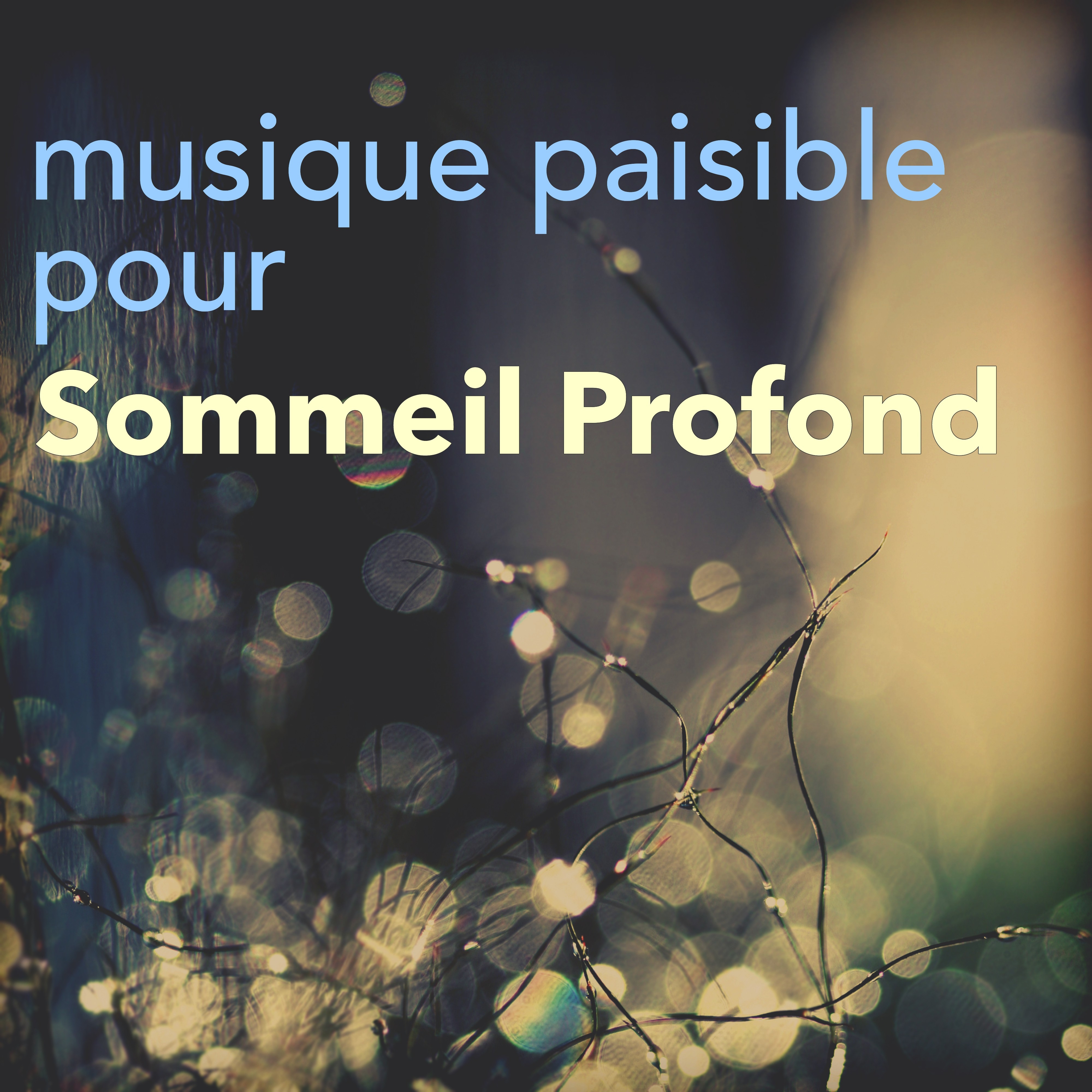 Musique Paisible pour Relaxation et Sommeil Profond – Musicothérapie et Sophrologie pour Détente Totale