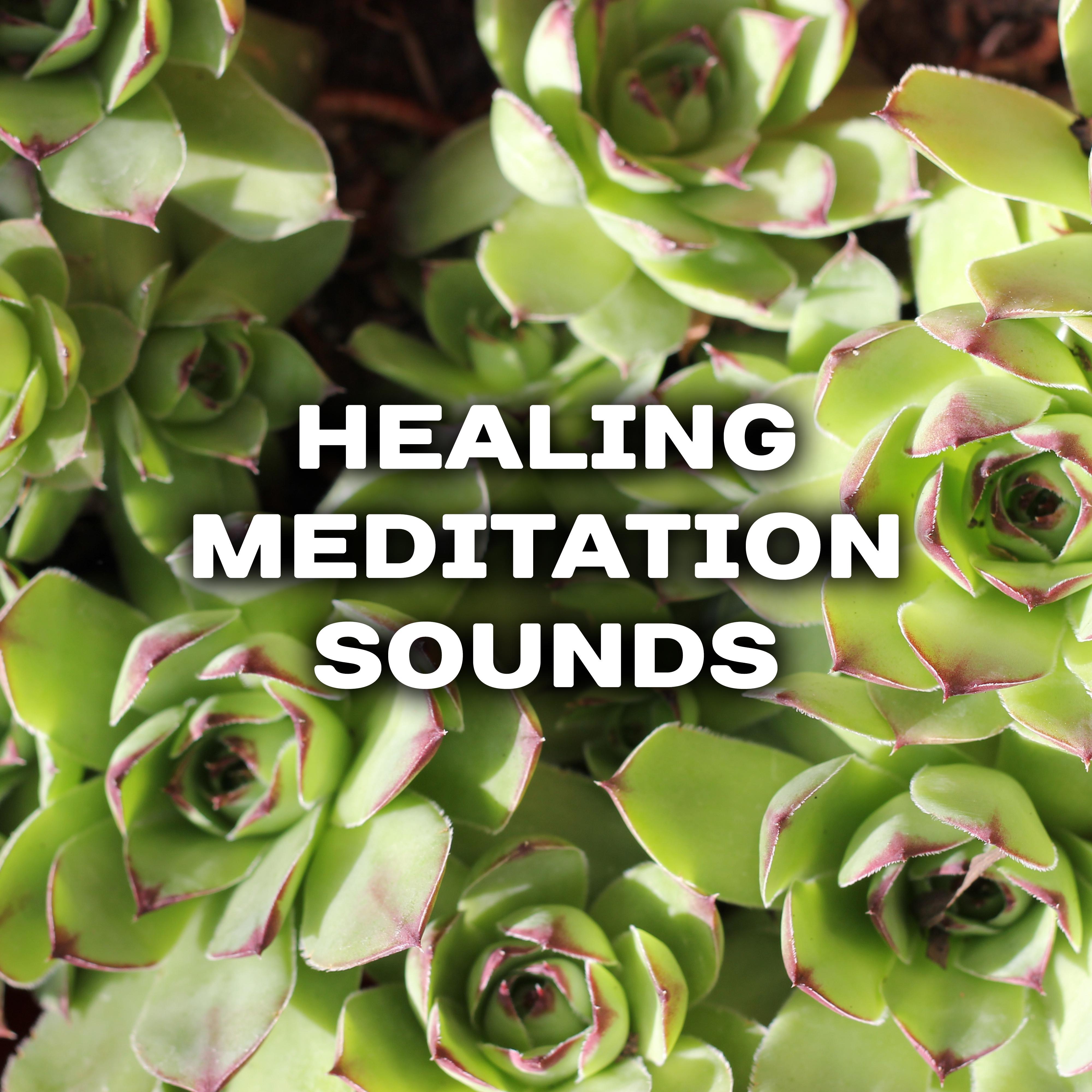 Healing Meditation Sounds – Rest with New Age Music, Buddha Relaxation, Meditate to Calm Mind & Body